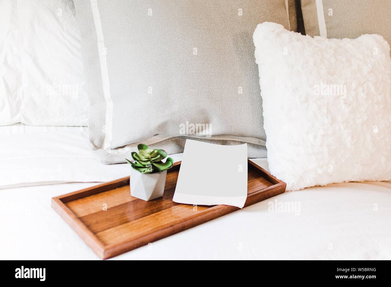 Gros plan d'un lit confortable avec un livre blanc à côté d'une petite plante sur un plateau en bois Banque D'Images