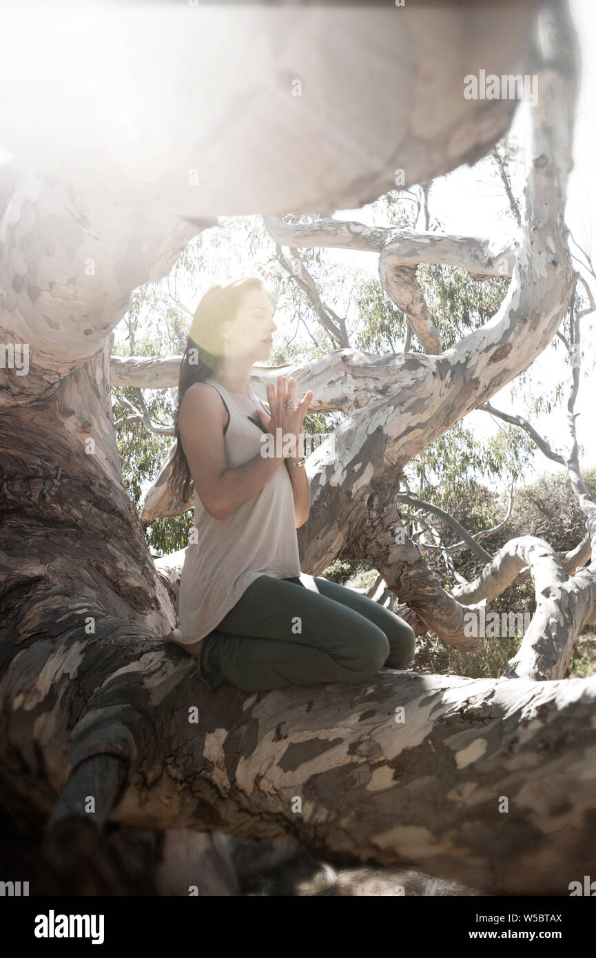 Femme assise sur un grand arbre dans la méditation. Banque D'Images