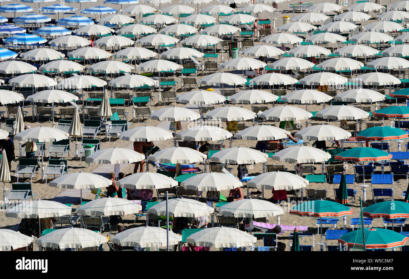 Vue panoramique sur le littoral de la mer Adriatique, près de Rimini, Émilie-Romagne, Italie, avec ses nombreux parasols Banque D'Images