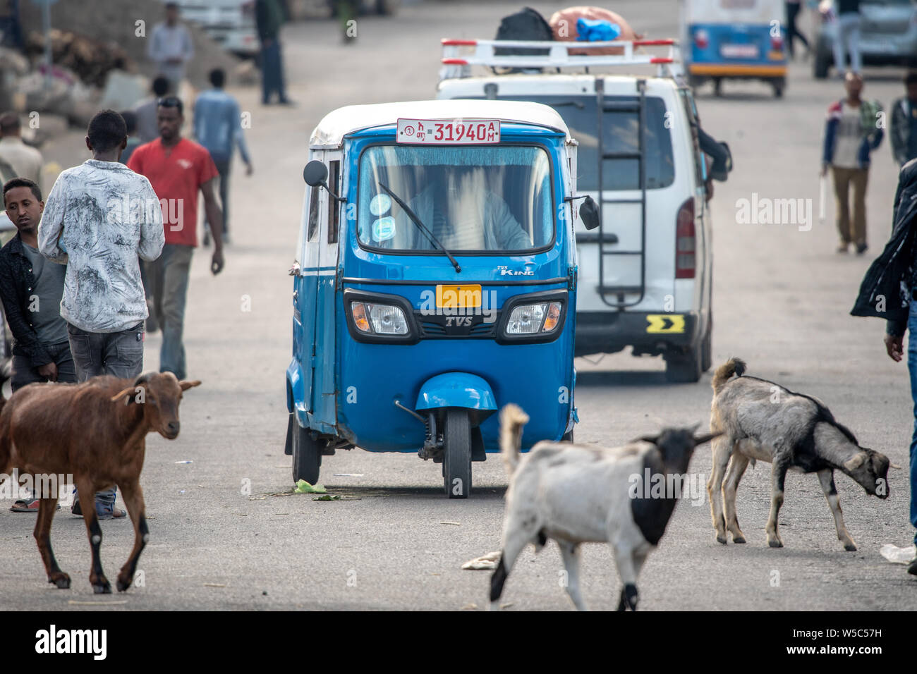 Un taxi passe par l'intermédiaire de groupes d'animaux et de personnes de la même façon sur les rues de Debre Berhan, Éthiopie. Banque D'Images