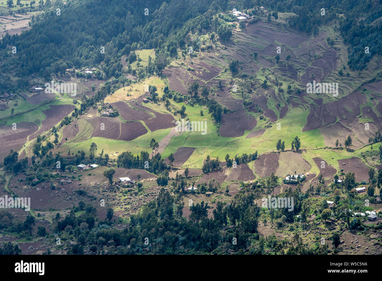 Vue vers le bas dans les belles vallées fertiles et près de Debre Berhan, Éthiopie. Banque D'Images