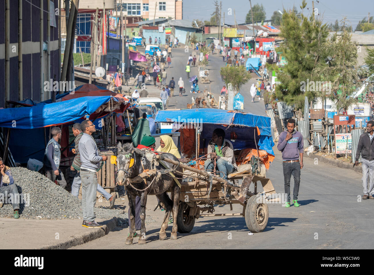 Calèches dans les rues de Debre Berhan, Éthiopie. Banque D'Images
