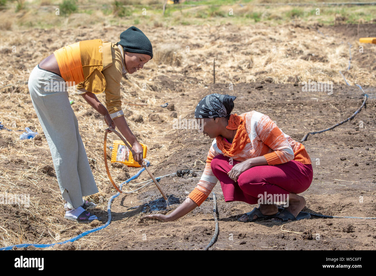 Deux étudiants travaillent à irriguer un champ, Debre Berhan University, Debre Berhan, Ethiopie Banque D'Images