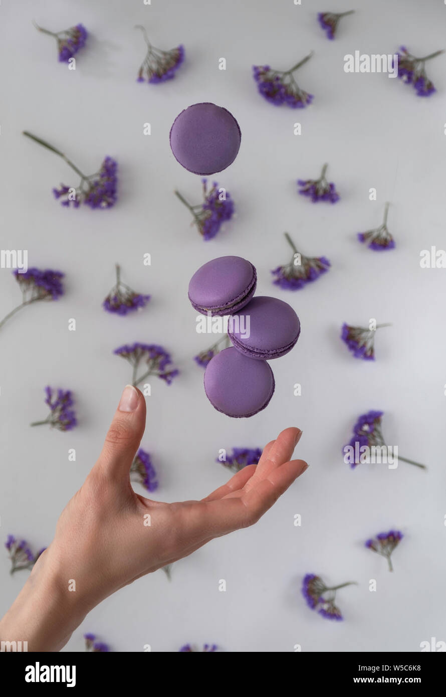 Cuisine française, violet, lilas macarons cookies dans motion relevant (lévitation) sur un fond blanc et fleurs. Banque D'Images