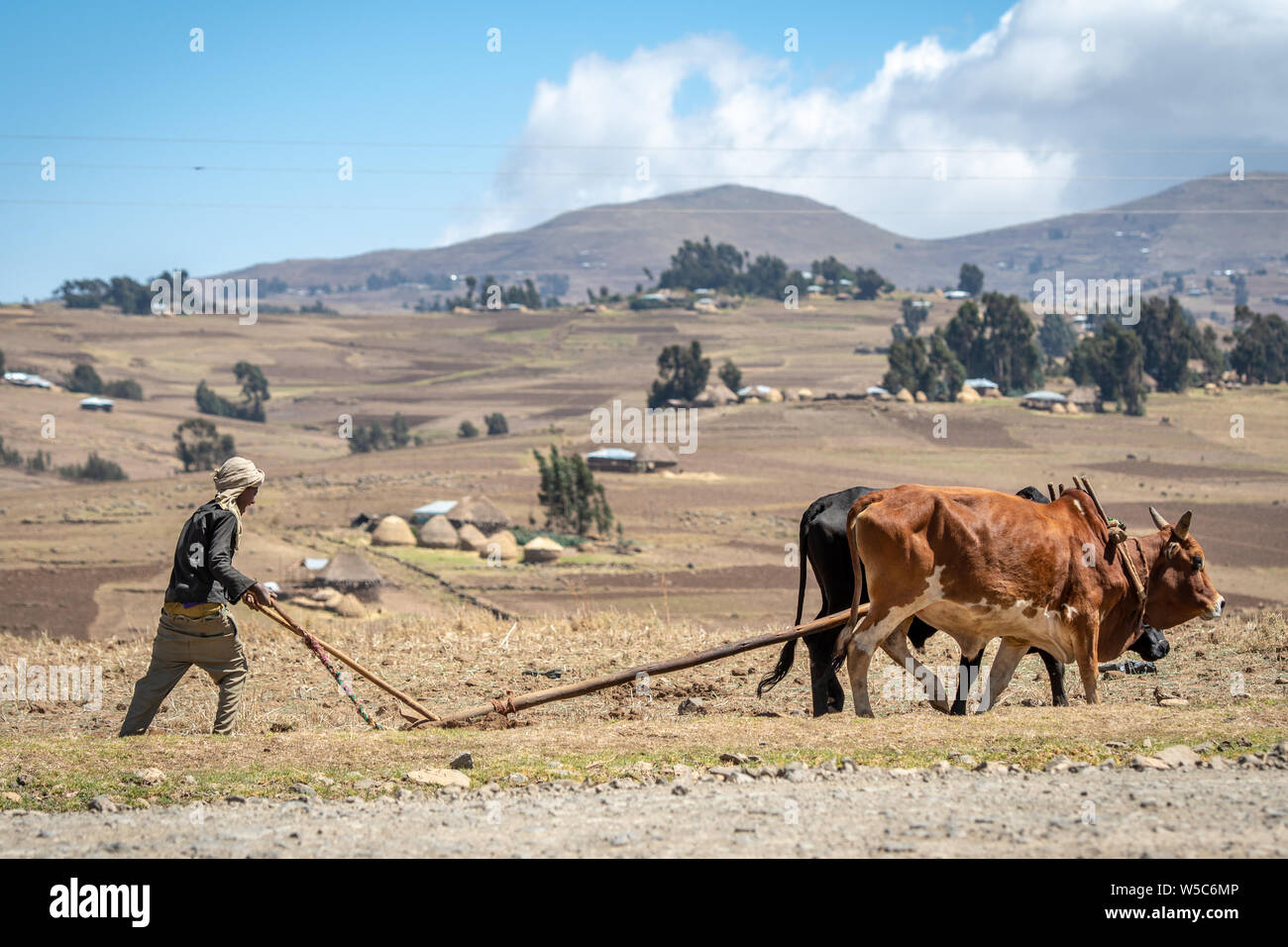 Un agriculteur éthiopien utilise une charrue tirée du bétail pour s'occuper de ses champs, Debre Berhan, Éthiopie. Banque D'Images