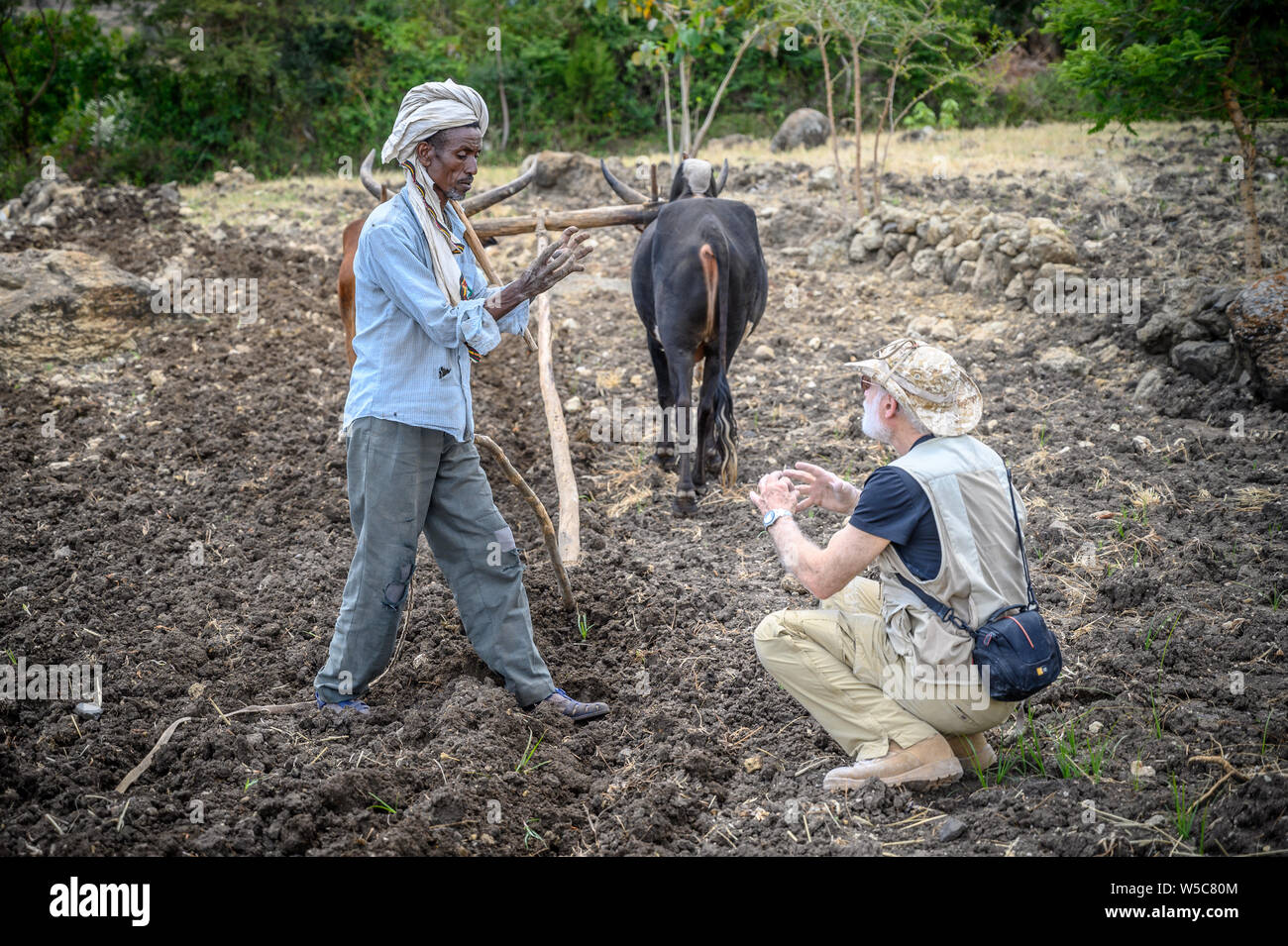 Un agriculteur Ethiopien traite de l'agriculture avec un Américain, le professeur Debre Berhan, Éthiopie. Banque D'Images