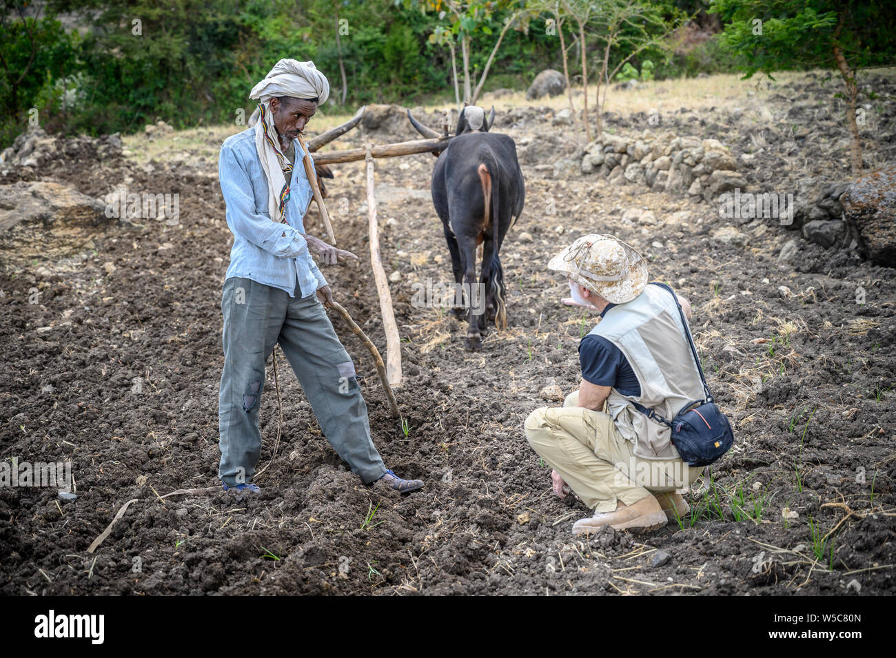 Un agriculteur Ethiopien traite de l'agriculture avec un Américain, le professeur Debre Berhan, Éthiopie. Banque D'Images