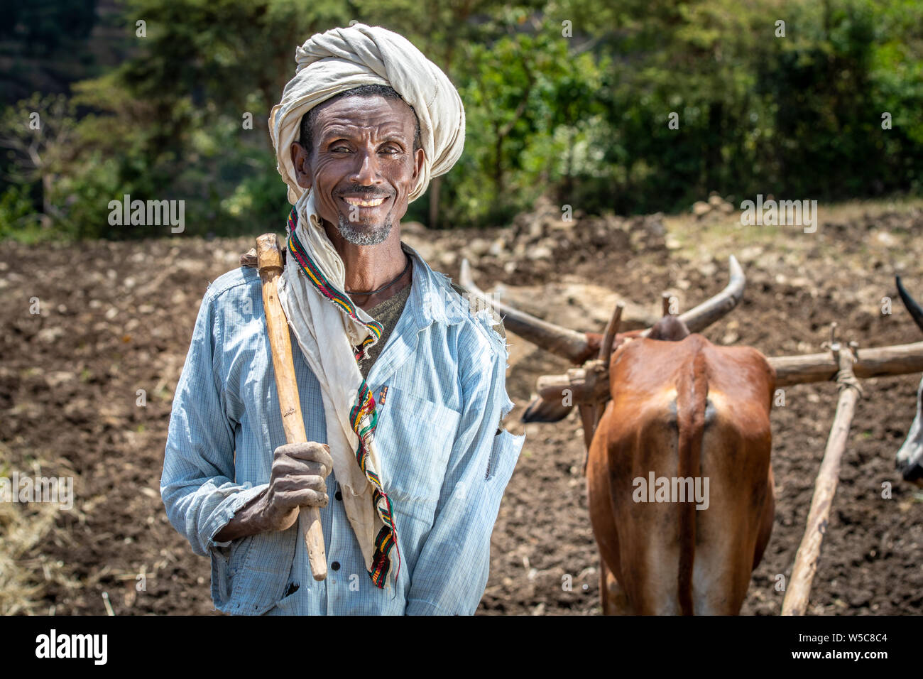 Portrait d'un agriculteur éthiopien, Debre Berhan, Éthiopie. Banque D'Images