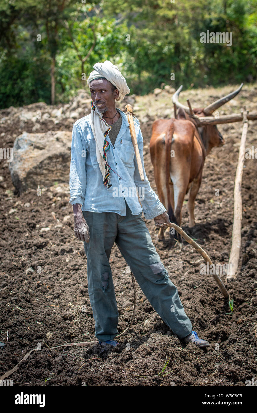 Un Éthiopien stoïquement debout dans un champ, Debre Berhan, Éthiopie. Banque D'Images