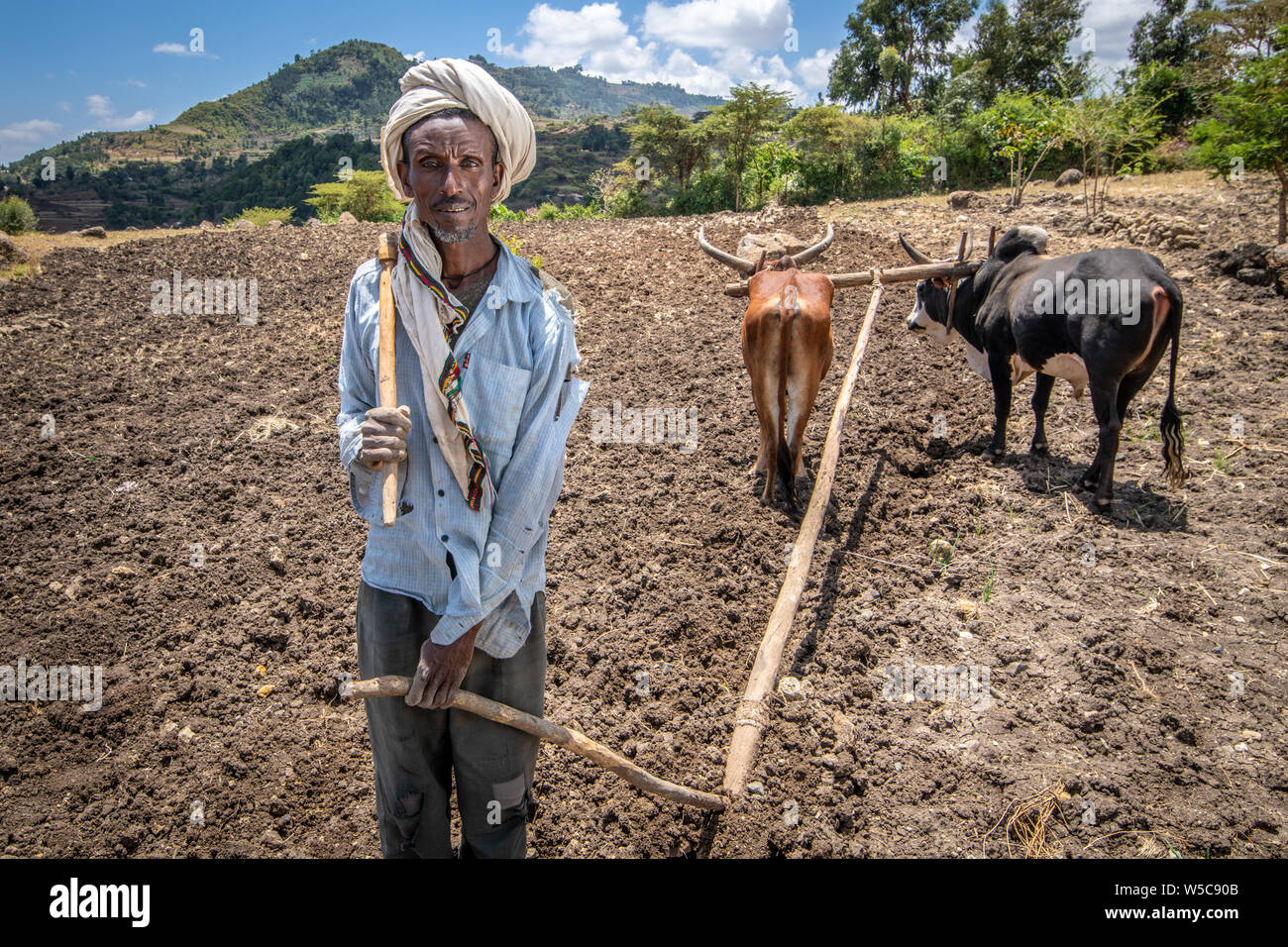 Portrait d'un agriculteur éthiopien, Debre Berhan, Éthiopie. Banque D'Images