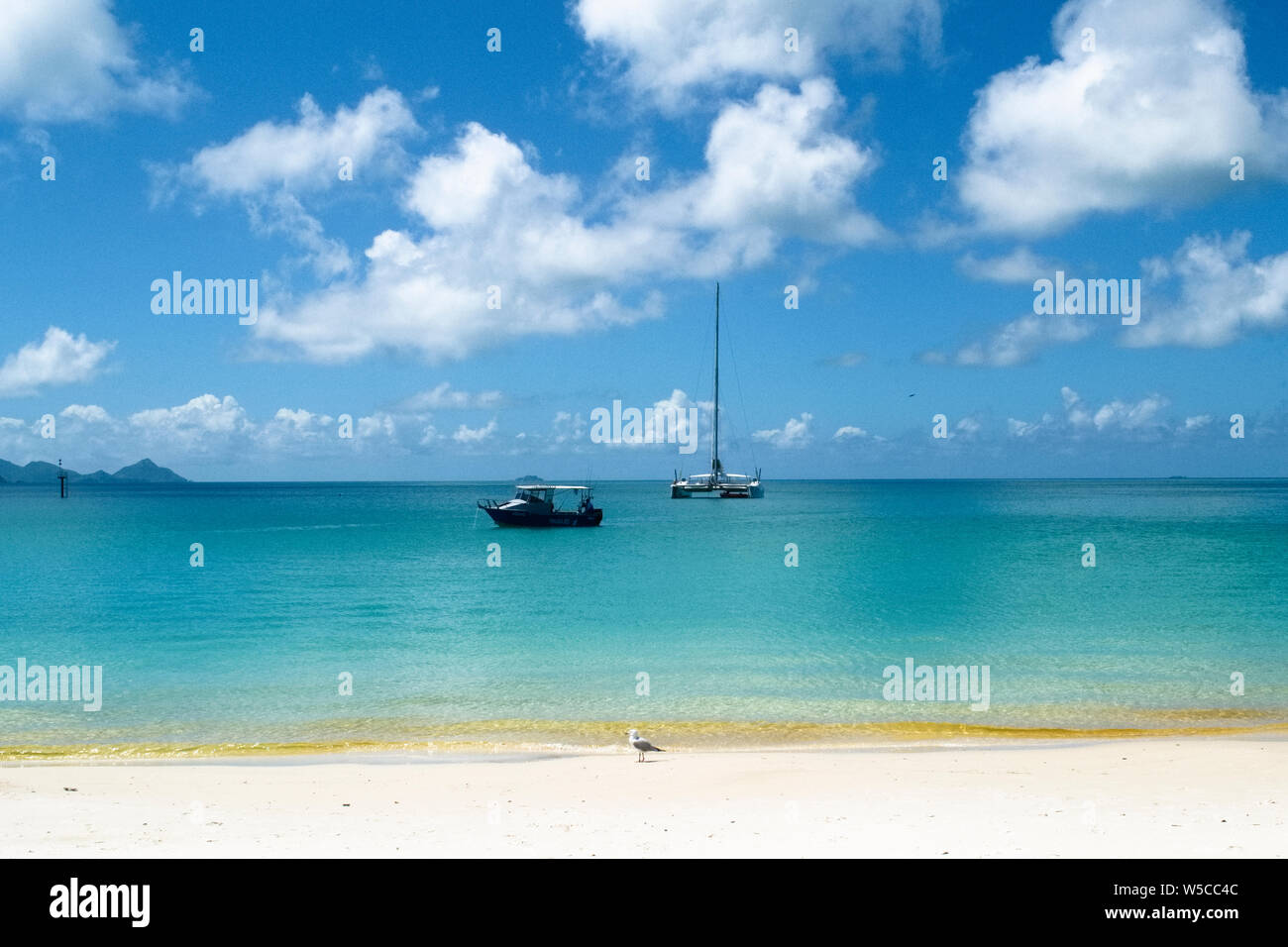 Whitehaven Beach, Îles Whitsunday Airlie Beach, Australie, destination de rêve Banque D'Images
