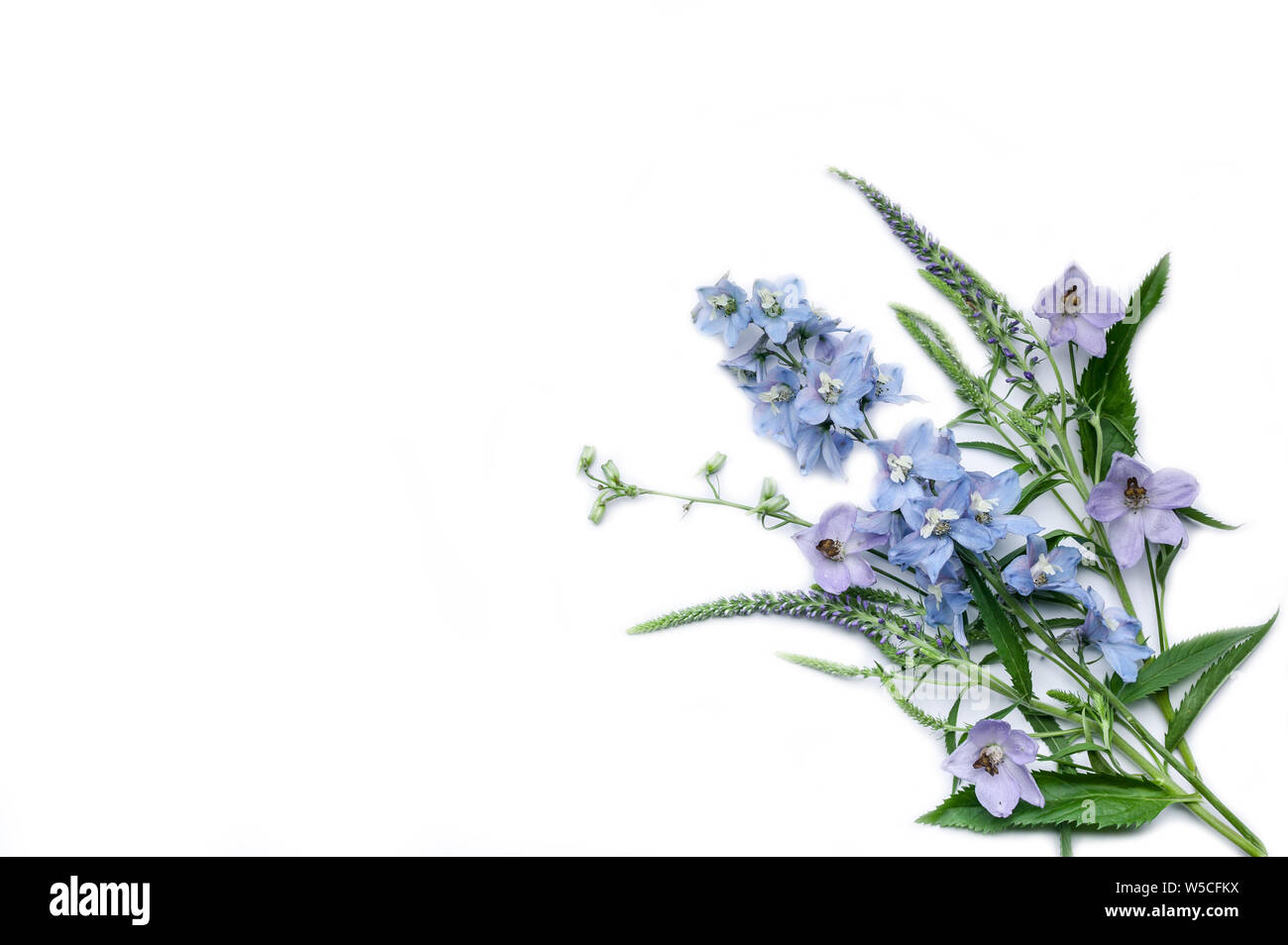 Bouquet de fleurs sauvages. Objet isolé sur fond blanc. Copy space Banque D'Images