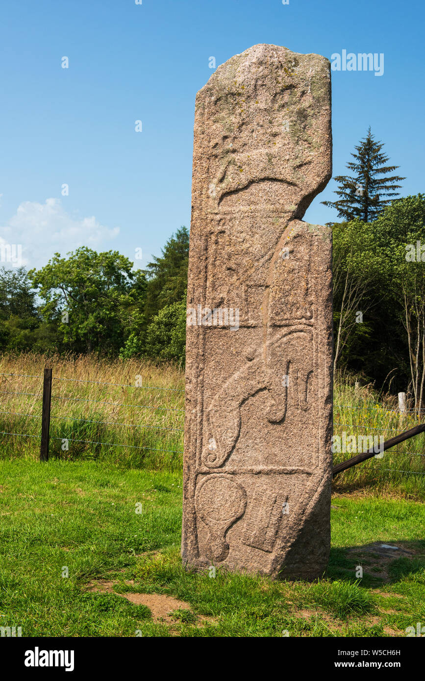 La pierre de jeune fille, une de 3 mètres de hauteur Picte contre-dalle, près d'Inverurie, Aberdeenshire, Ecosse. Banque D'Images
