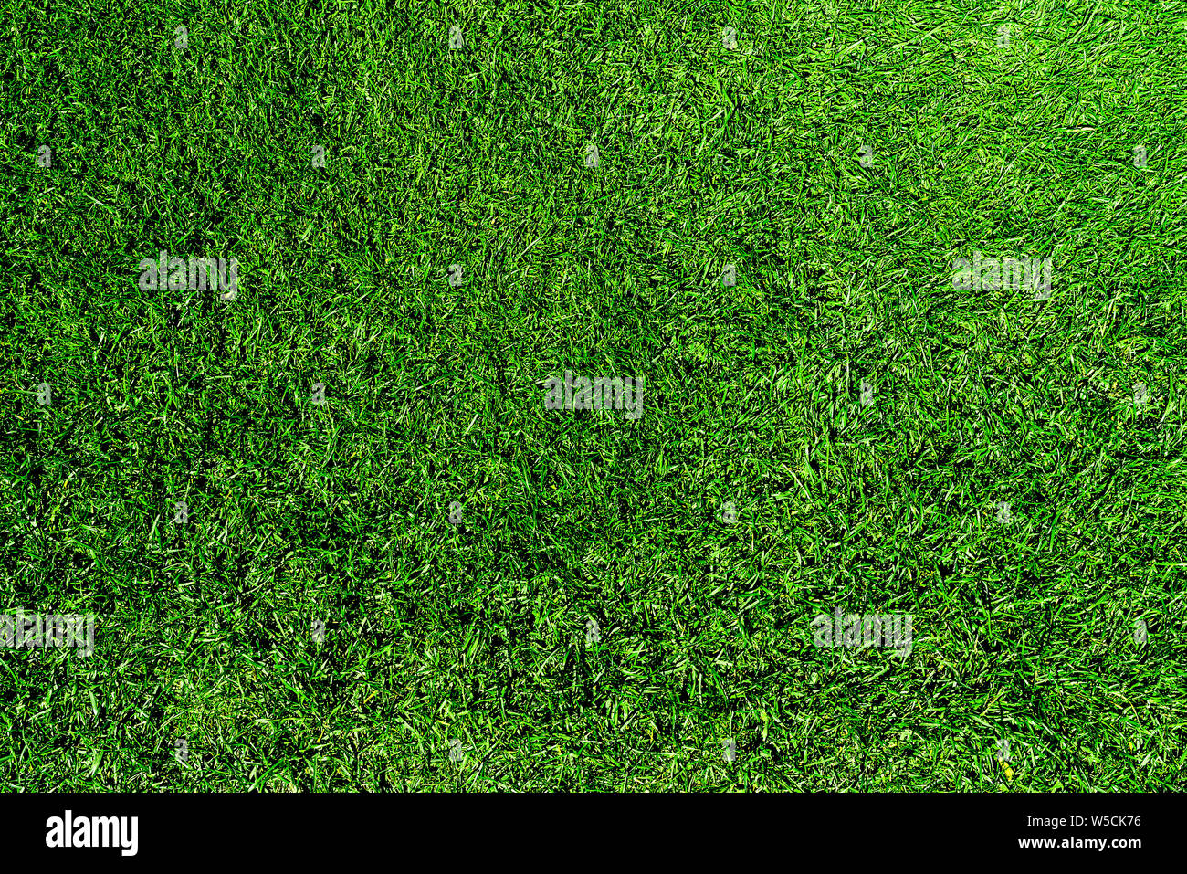 Tourné directement au-dessus de l'herbe verte fraîche pelouse ou Banque D'Images