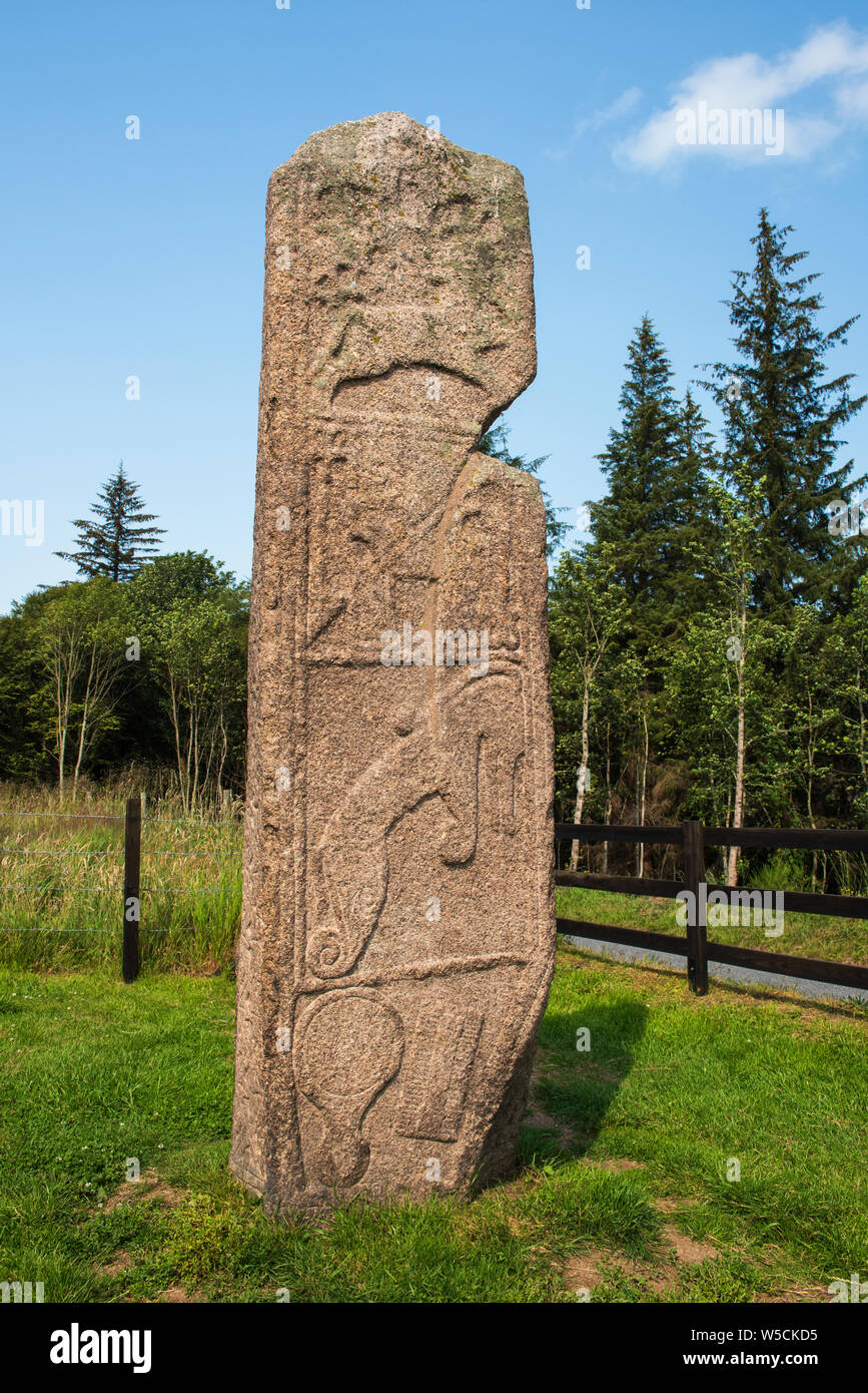 La pierre de jeune fille, une de 3 mètres de hauteur Picte contre-dalle, près d'Inverurie, Aberdeenshire, Ecosse. Banque D'Images