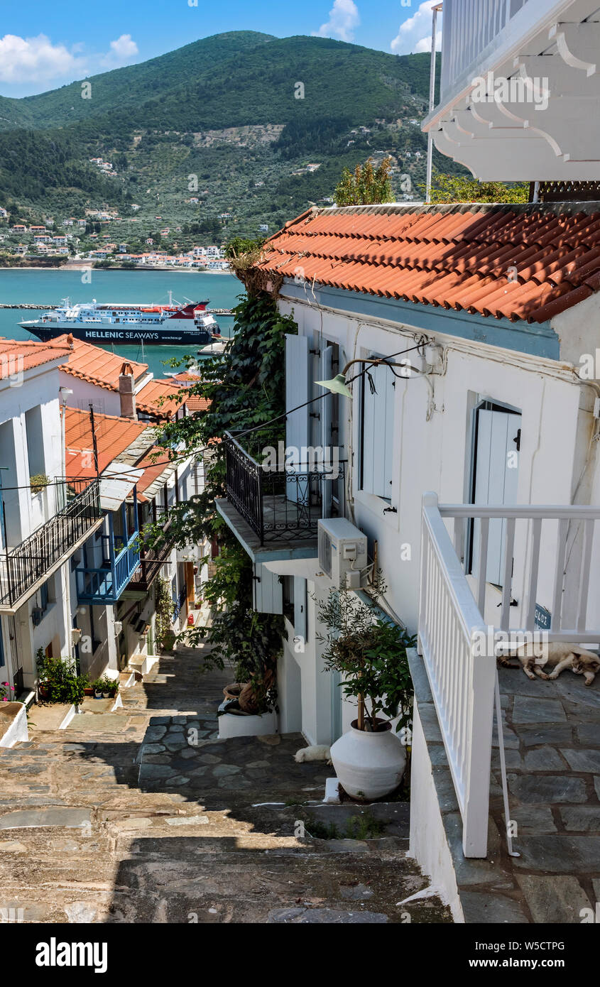 Une rue de la ville de Skopelos, Sporades du Nord de la Grèce. Banque D'Images