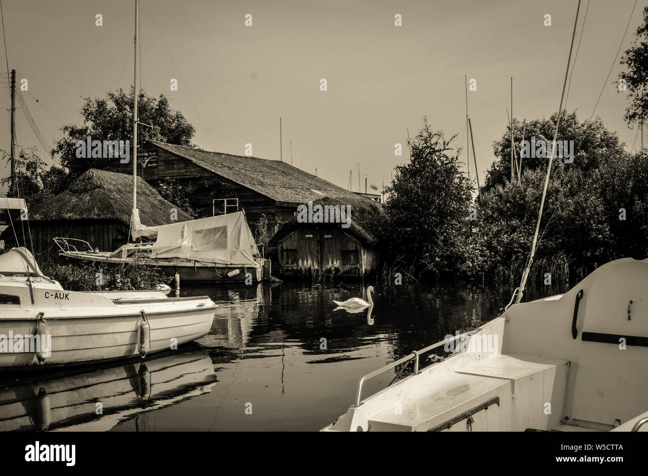 Whispering Roseaux boatyard, Norfolk, Angleterre Banque D'Images