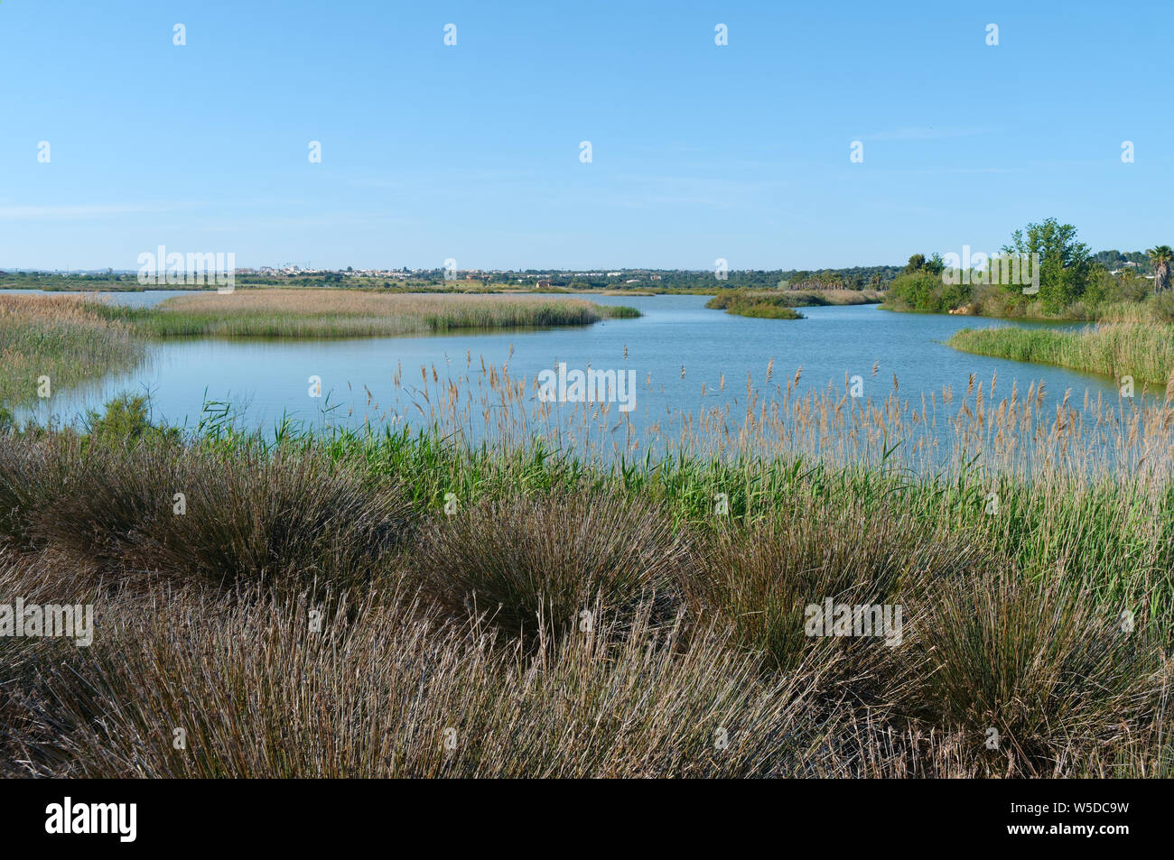 Lagoa dos Salgados Albufeira, Portugal. Réserve naturelle et touristique pour l'observation des oiseaux Banque D'Images