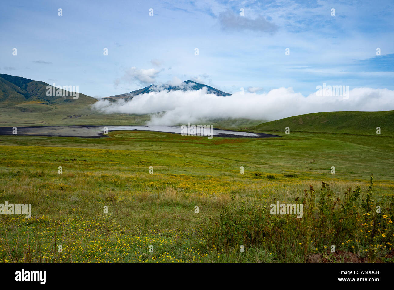 Zone de conservation de Ngorongoro, en Tanzanie. Vue du cratère Banque D'Images