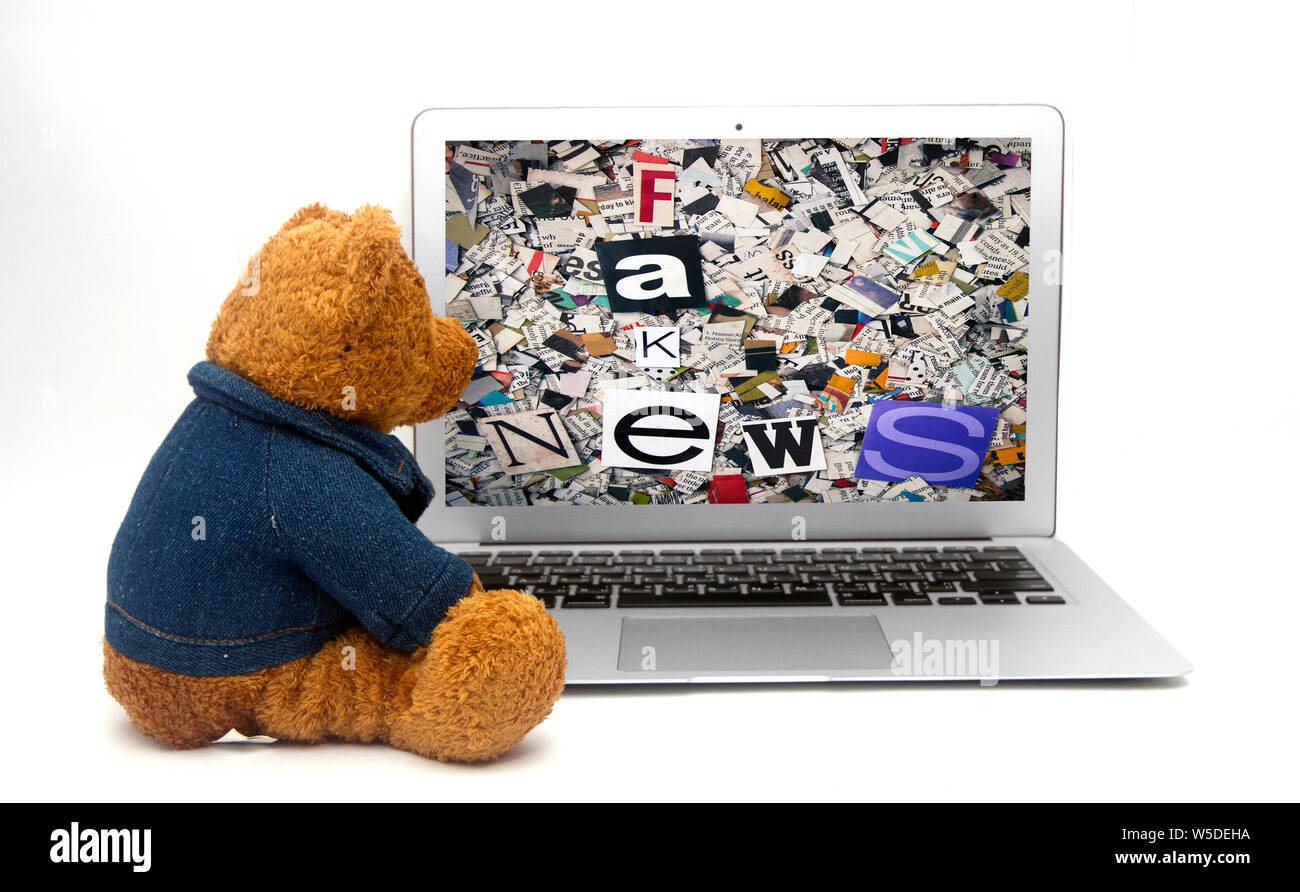 Tedy est à regarder les fausses nouvelles sur un ordinateur portable isolé sur fond blanc Banque D'Images