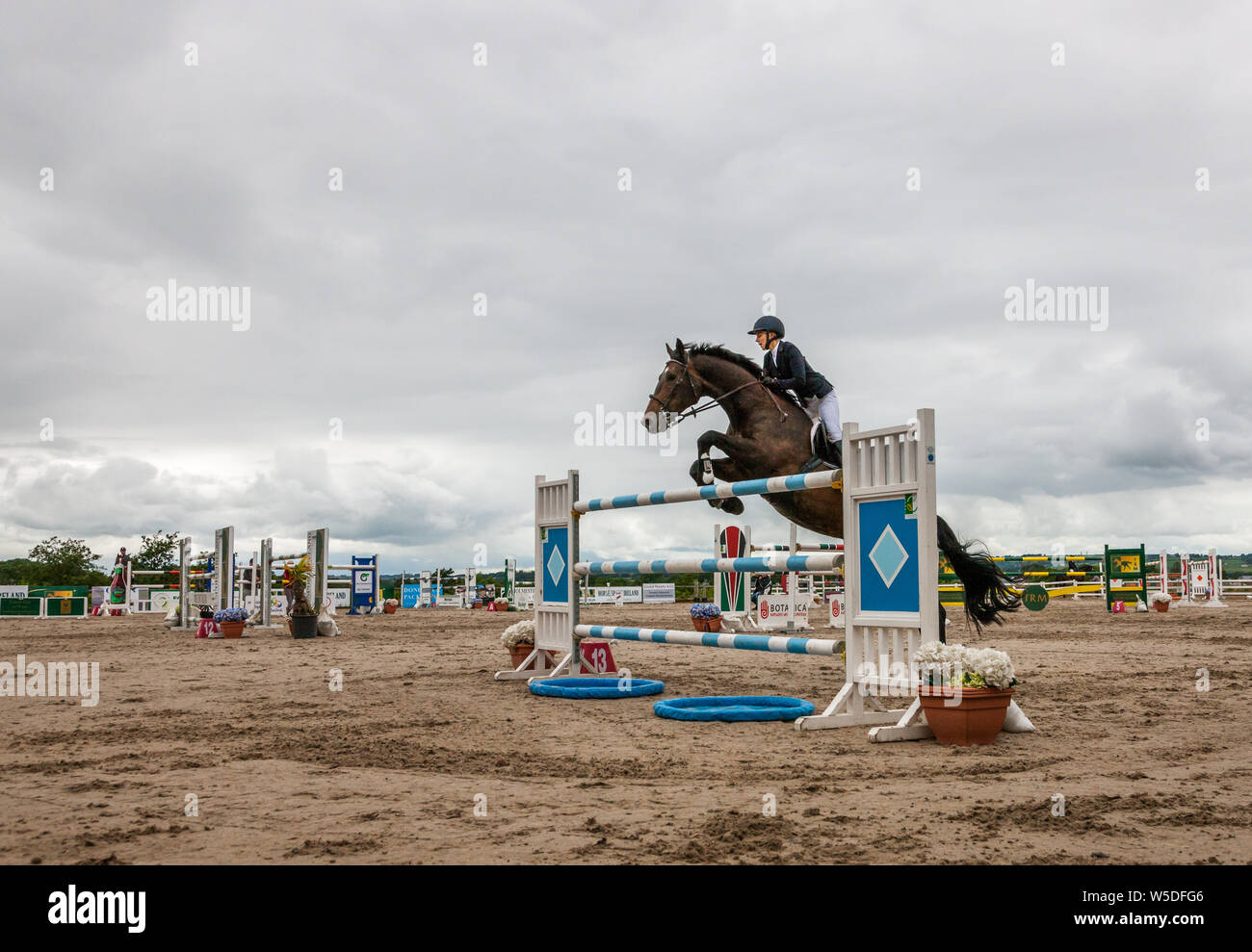 Carrigaline, Cork, Irlande. 28 juillet, 2019. Jamie Garland sur Zeplepplin efface la dernière clôture dans la nouvelle hauteur de 1,5 m au cours de la série des Champions, Premier Grand Prix, 3 jours de l'événement qui a eu lieu à l'Maryville Centre équestre à Carrigaline Co., Cork, Irlande. Crédit : David Creedon/Alamy Live News Banque D'Images