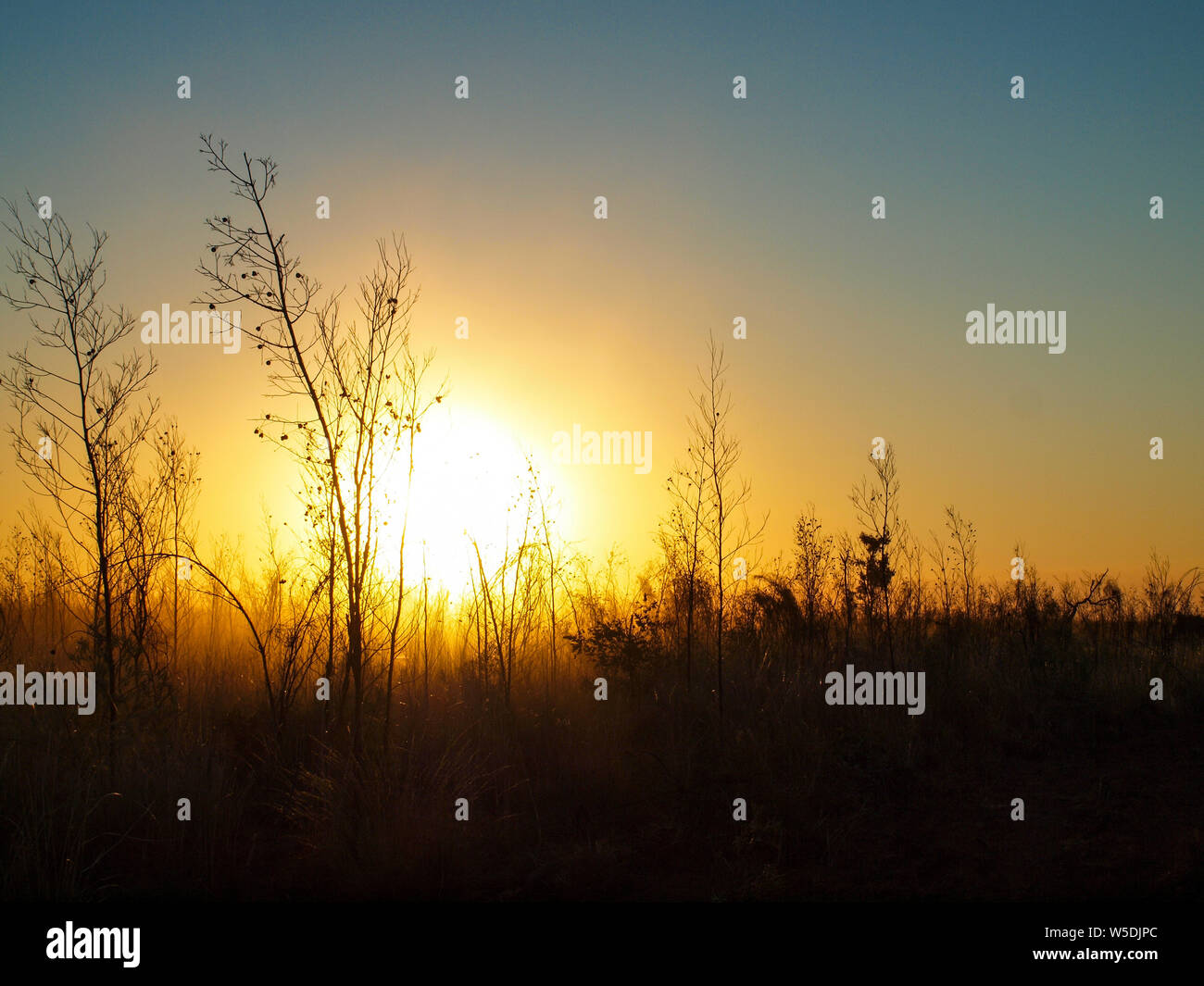 Beau coucher de soleil avec Kimberley outback rouge pindan filtrant à travers la poussière dans l'air. situé dans le Nord de l'Australie à distance Banque D'Images