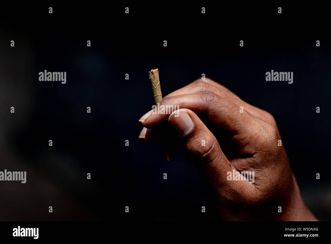 L'beedi est une fine cigarette tabac indien rempli de flocons et enveloppé dans une feuille de Bauhinia racemosa et attachées avec une chaîne à une extrémité. Banque D'Images