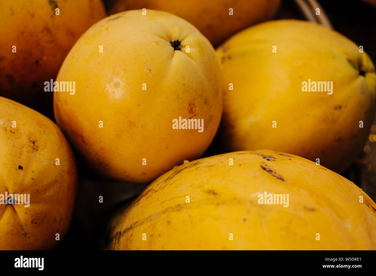 Close-up of sweet et ripe papayes solo qui l'aide dans le mouvement intestinal et la prévention du cancer. Focus sélectif. Banque D'Images