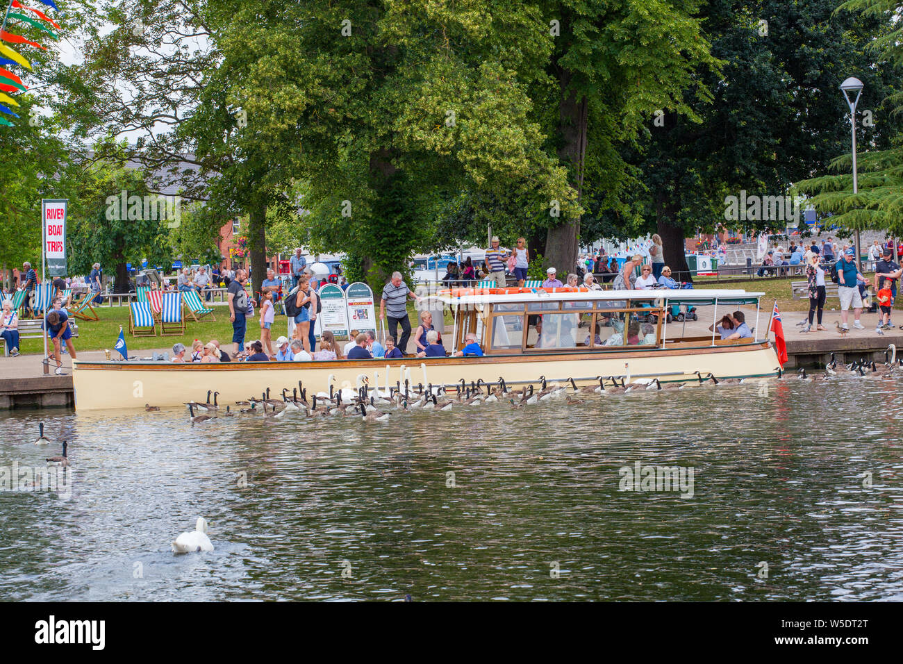 Les vacanciers à bord d'un bateau de plaisance bateau donnant des excursions d'une journée sur la rivière Avon qui passe dans Stratford sur Avon dans le Warwickshire Angleterre Banque D'Images