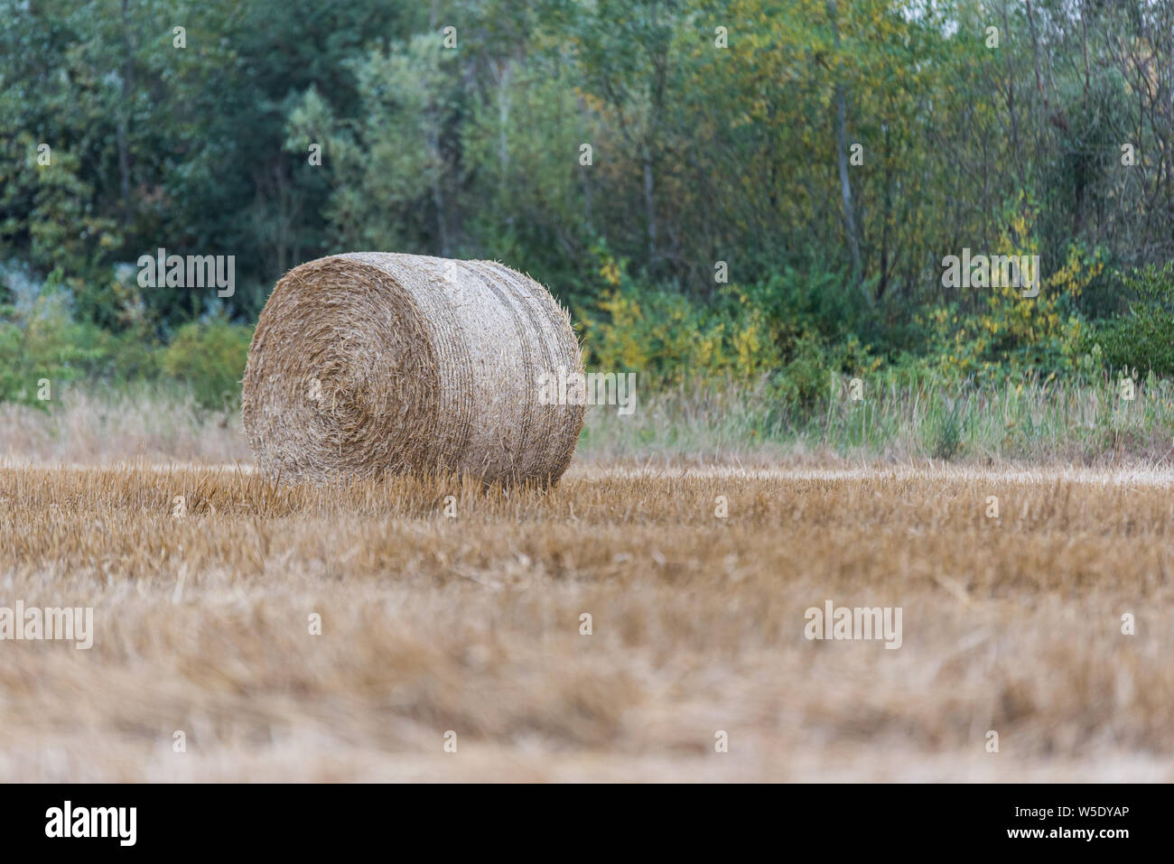 Domaine de la tour de bottes de paille en Allemagne Banque D'Images