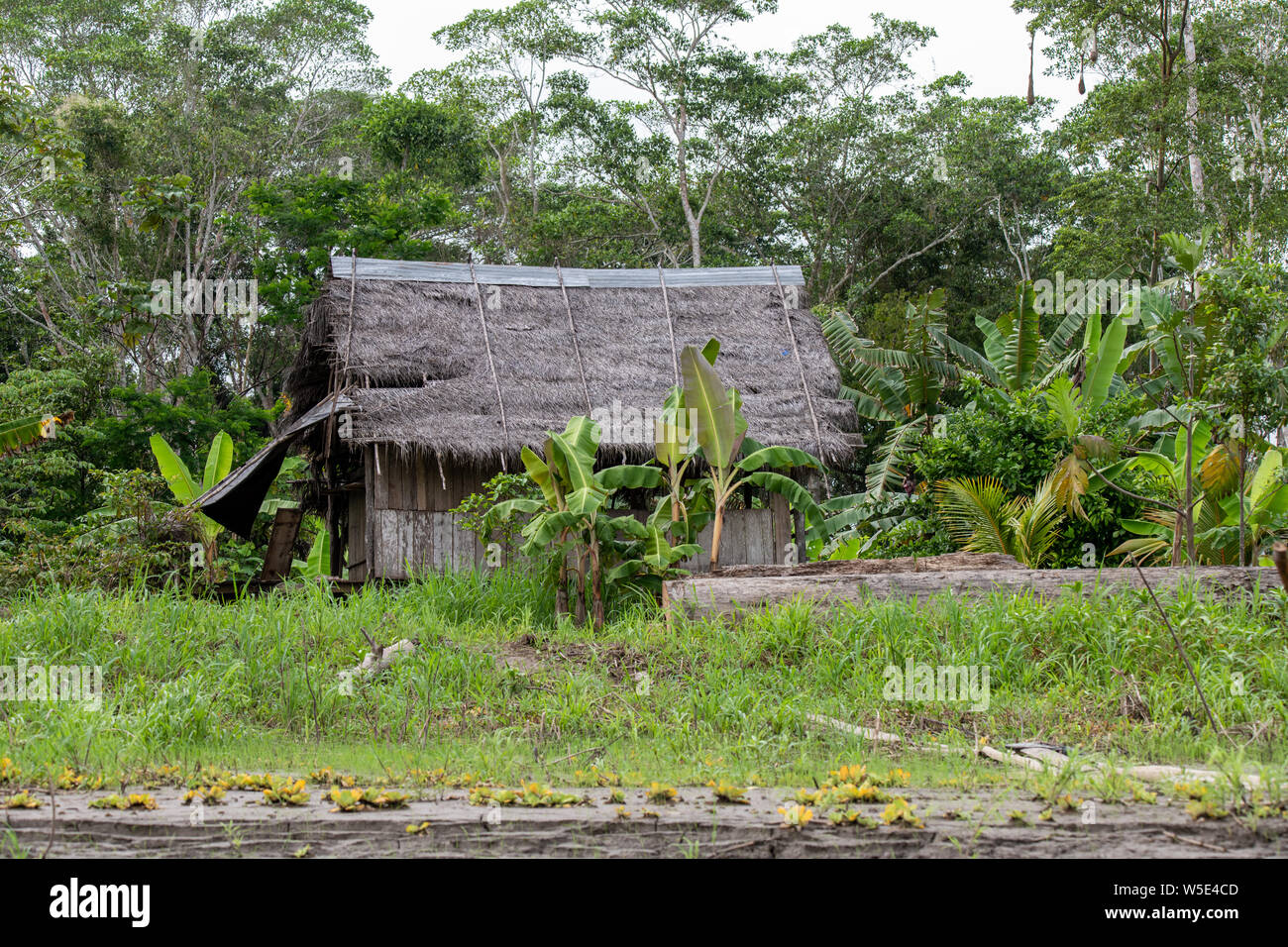 Garde forestier amazonie Banque de photographies et d’images à haute