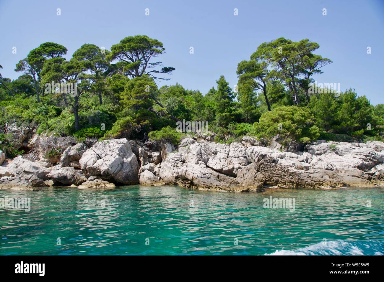 Des arbres sur les rochers blancs à l'eau verte Banque D'Images