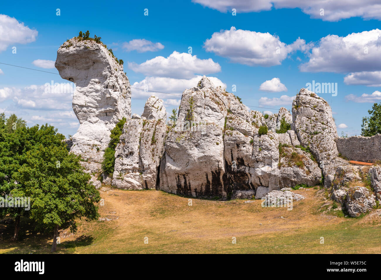 Les roches calcaires près de l'étonnant Château d'Ogrodzieniec Banque D'Images