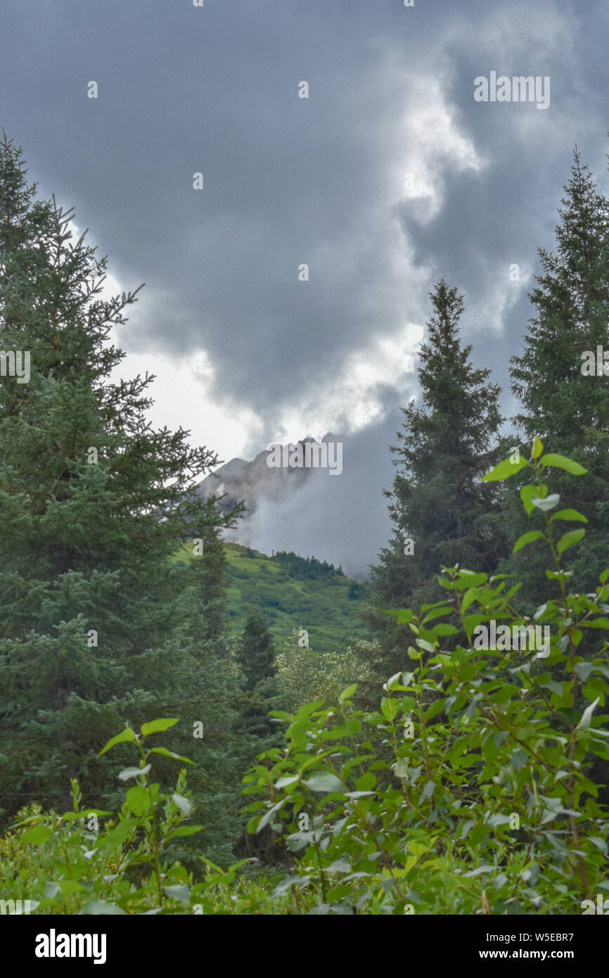 Bertha Creek Campground, Alaska Banque D'Images