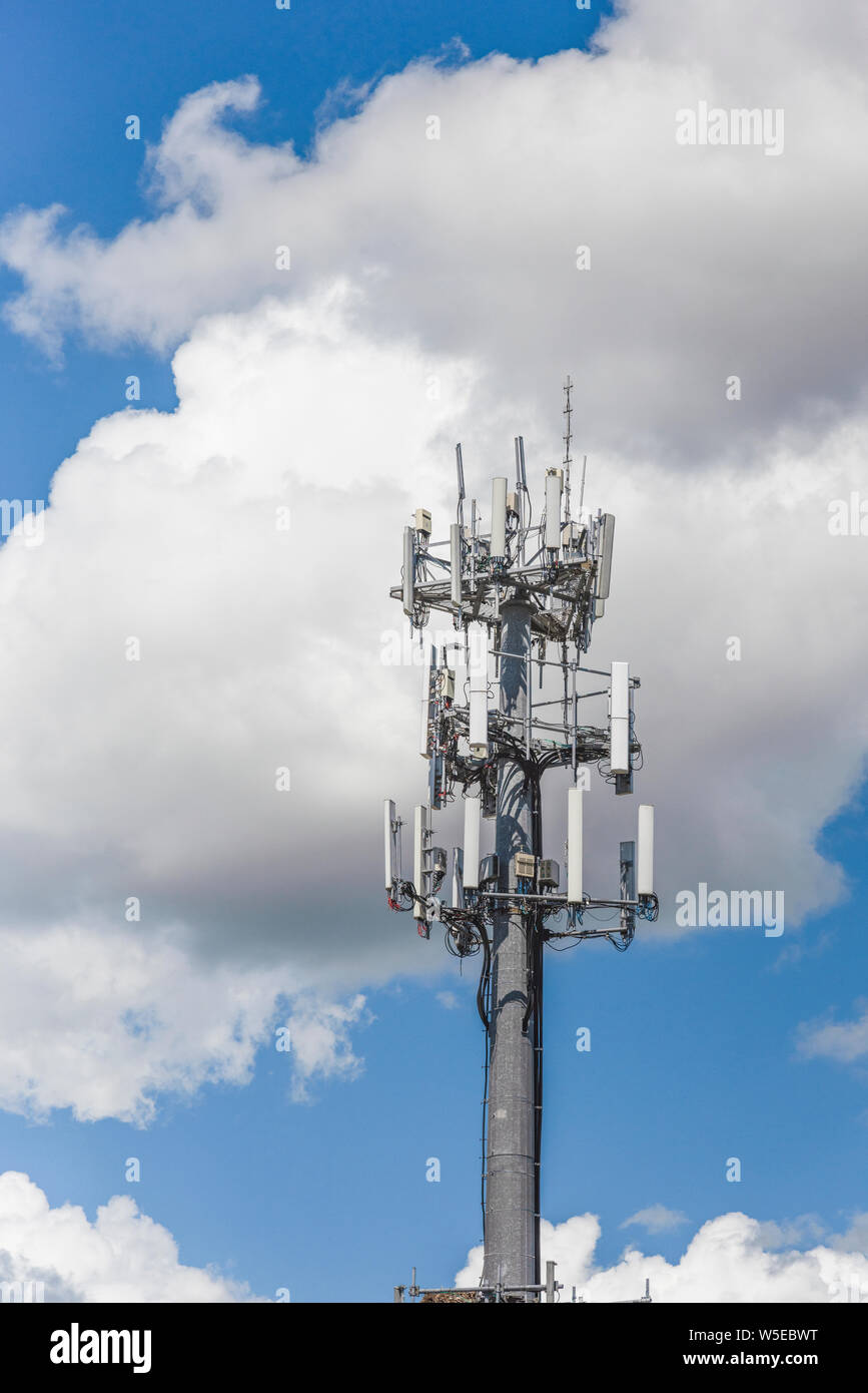 Tour de téléphonie cellulaire communications 4G LTE 5G situé dans la ville de Tavares, Florida USA Banque D'Images