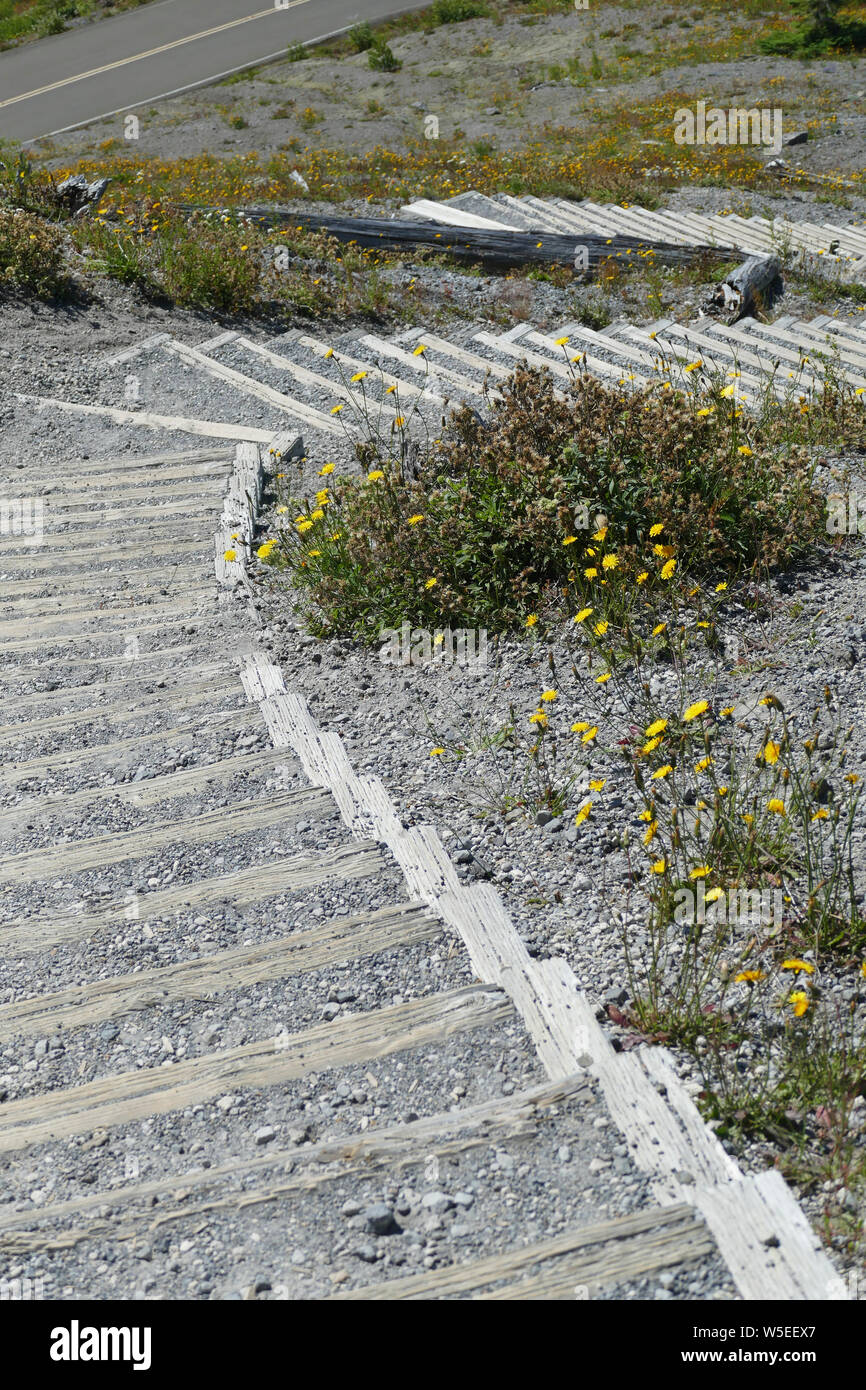 Escalier en bois monte au point de Mont Saint Helens, Washington Monument Volcanique National Banque D'Images