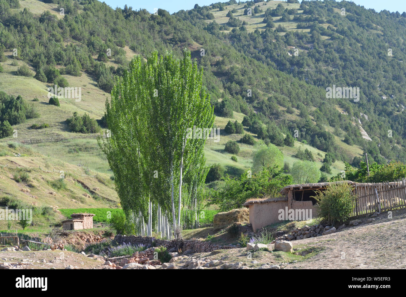 Un village de la montagne, le sud-ouest de l'Ouzbékistan Hissar Banque D'Images