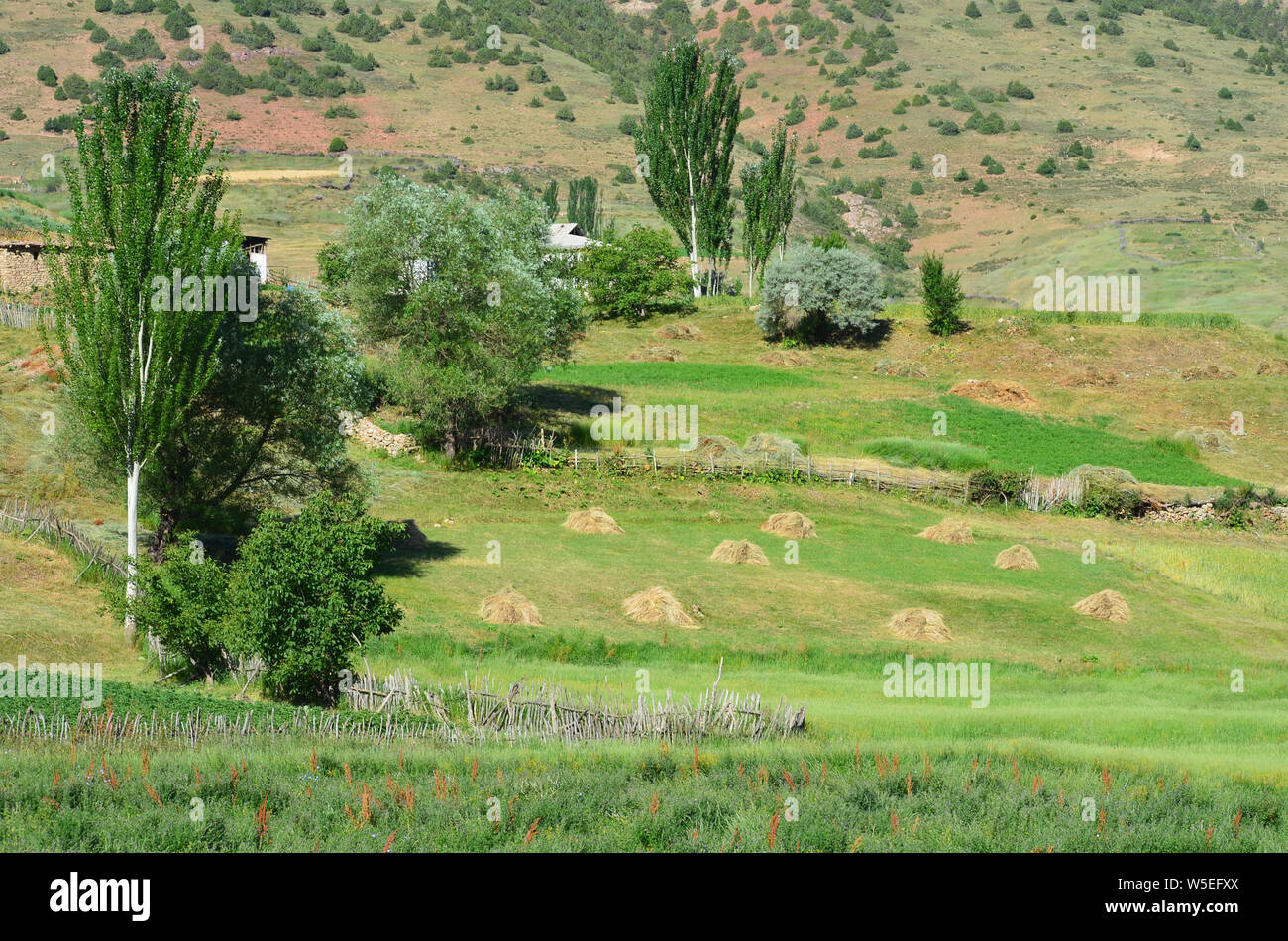 Un village de la montagne, le sud-ouest de l'Ouzbékistan Hissar Banque D'Images