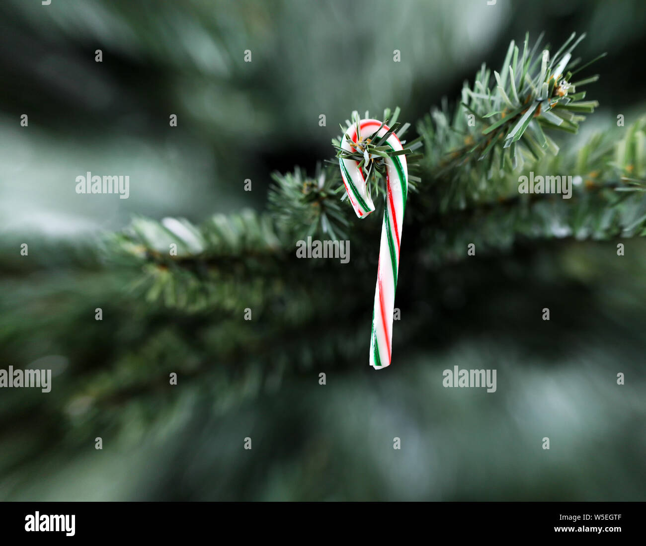 Canne en déshabillé traditionnel Noël Décoration pendaison sur arbre artificiel Banque D'Images