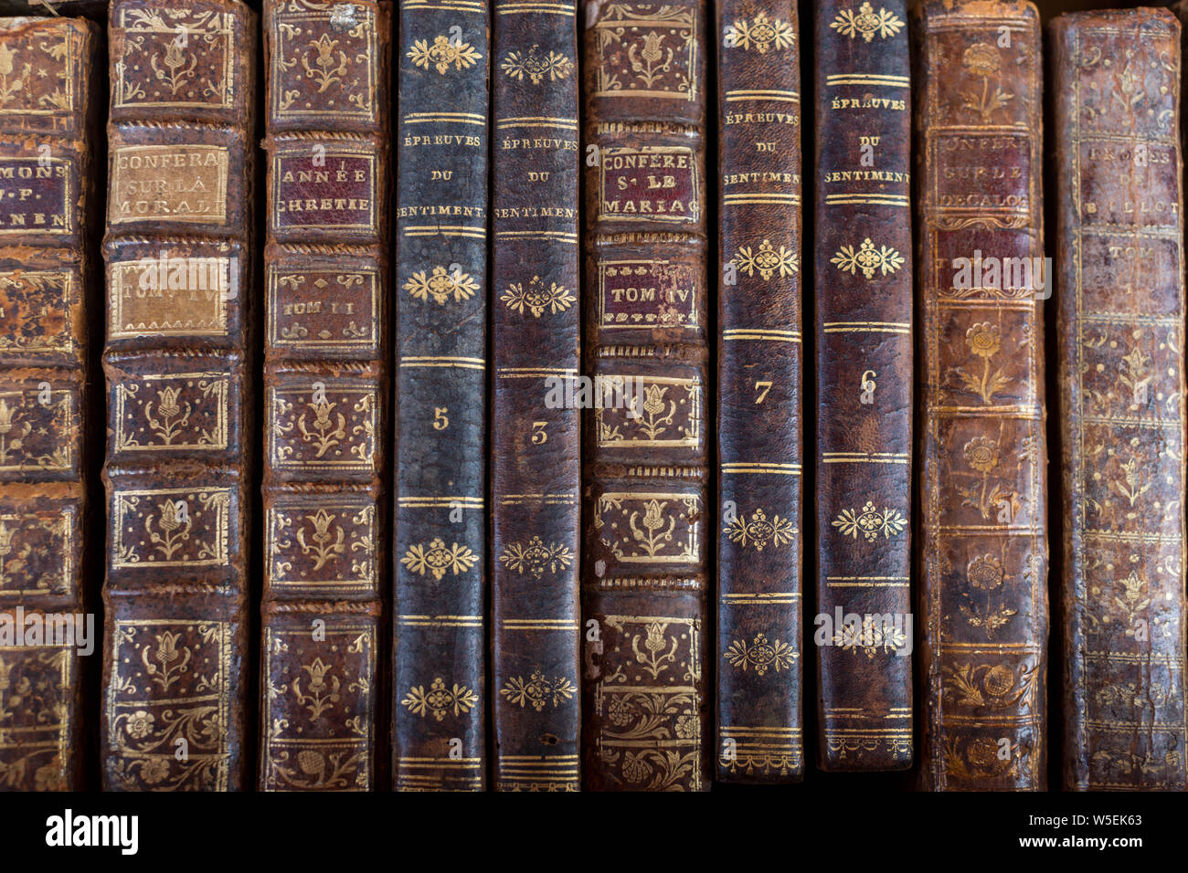 Rangée de livres anciens dans une boutique de livres anciens de Paris Banque D'Images