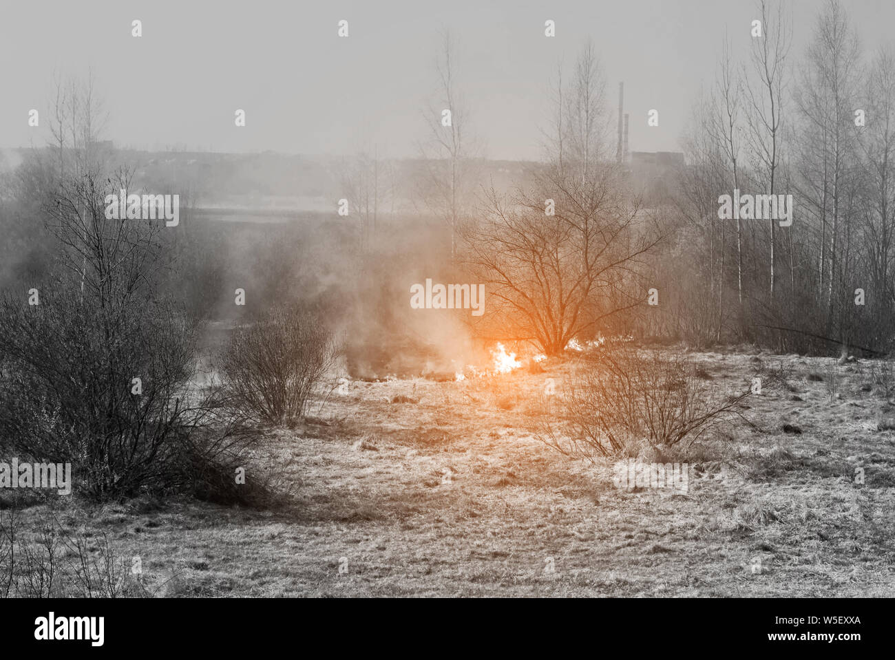 Photo en noir et blanc d'un incendie de forêt où l'herbe sèche et orange feu brûle, les feux sauvages dans la nature Banque D'Images