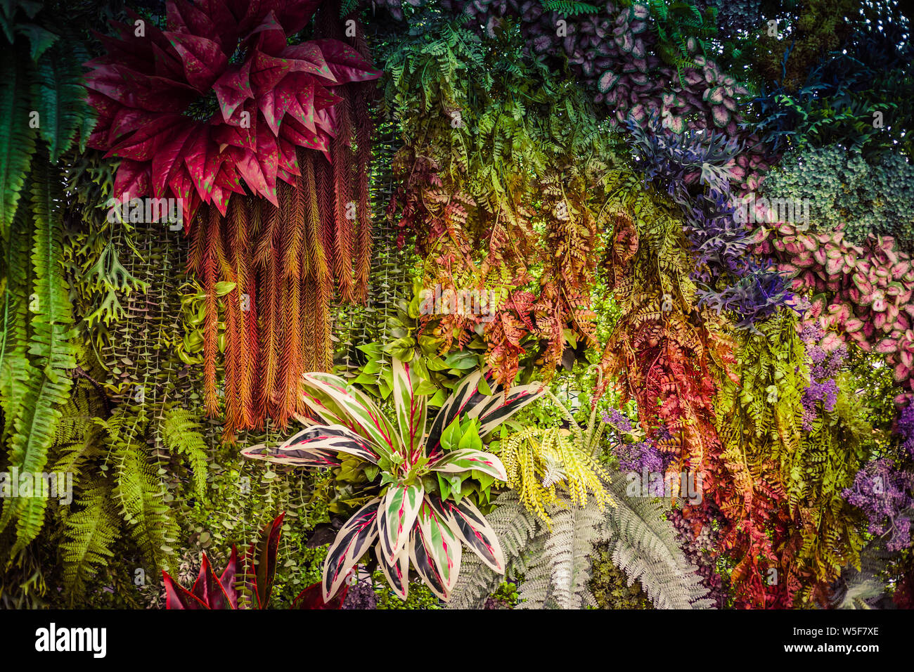 Ombre de feuilles tropicales arrière-plan. Banque D'Images