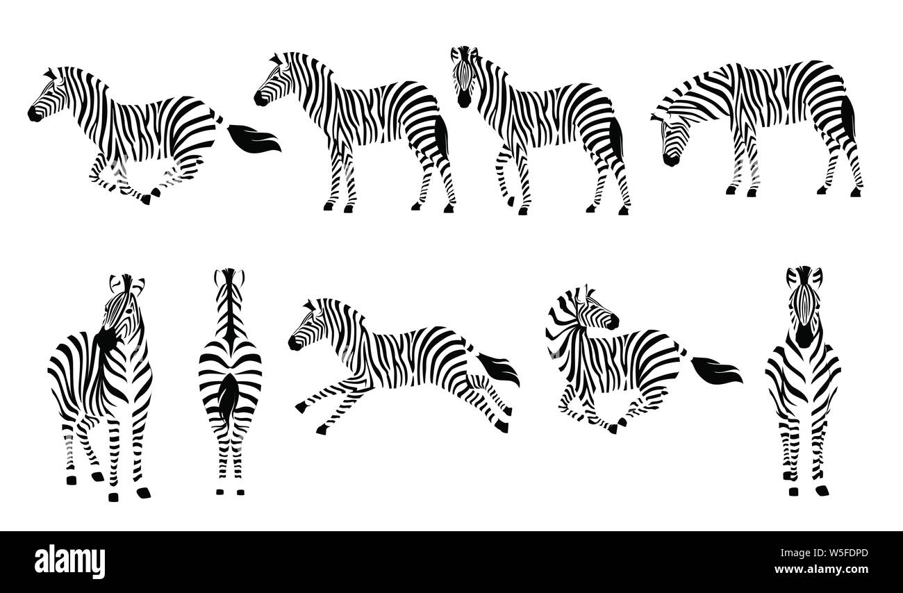 L'Afrique de l'ensemble de moule et à l'avant vue outline silhouette rayures design animal télévision vector illustration isolé sur fond blanc. Illustration de Vecteur