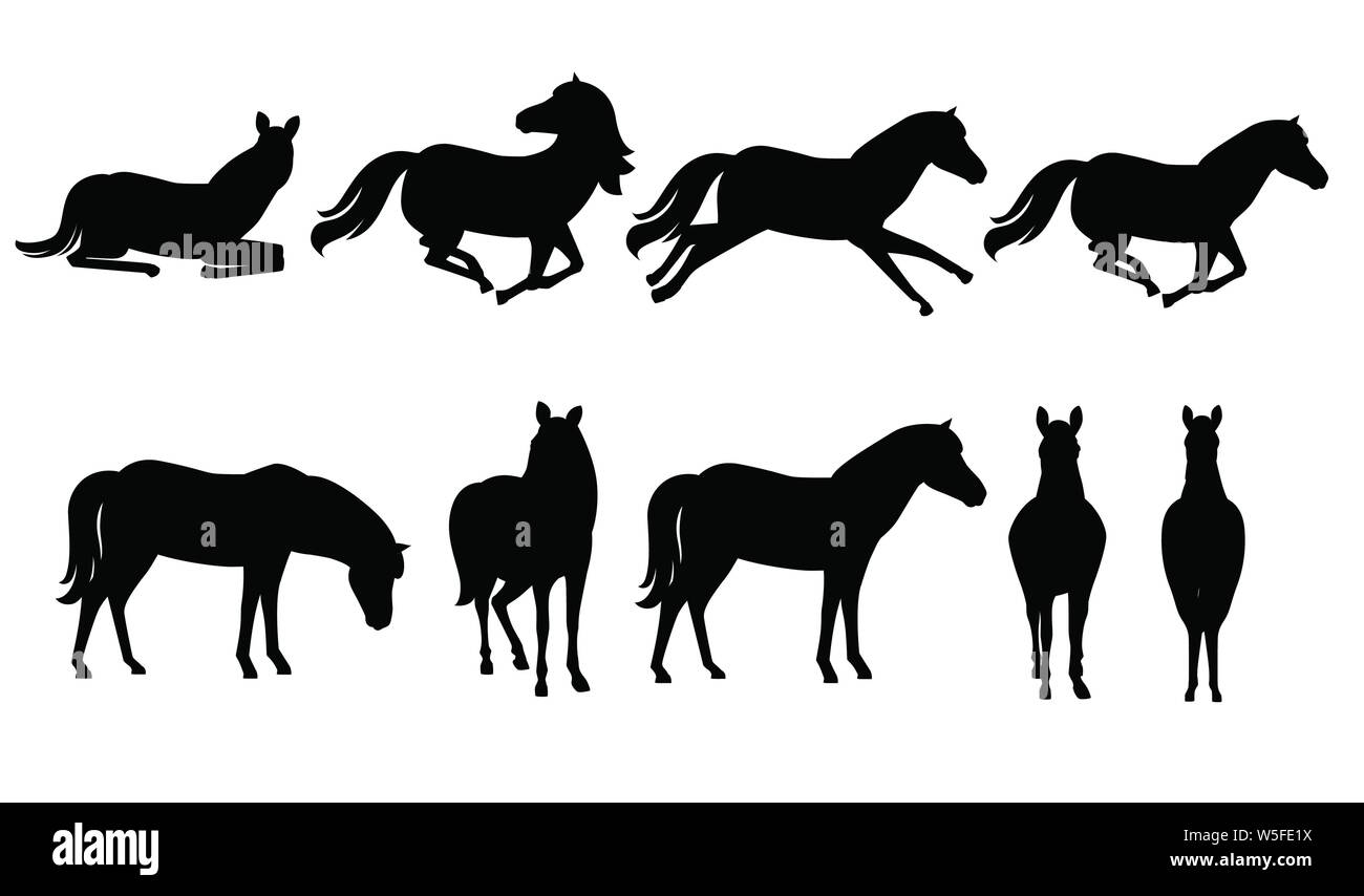 Silhouette noire ensemble de brown horse animal sauvage ou domestique télévision design cartoon vector illustration isolé sur fond blanc. Illustration de Vecteur