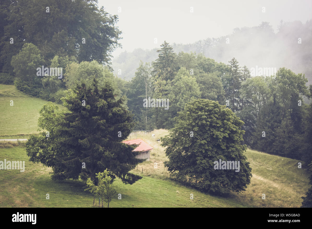 Moody paysage d'automne dans la région de Vaud, Suisse. Les paysages brumeux. Brouillard, brouillard. Vintage Retro, style hippie. Maison solitaire sur un champ. Alpes suisses. Banque D'Images