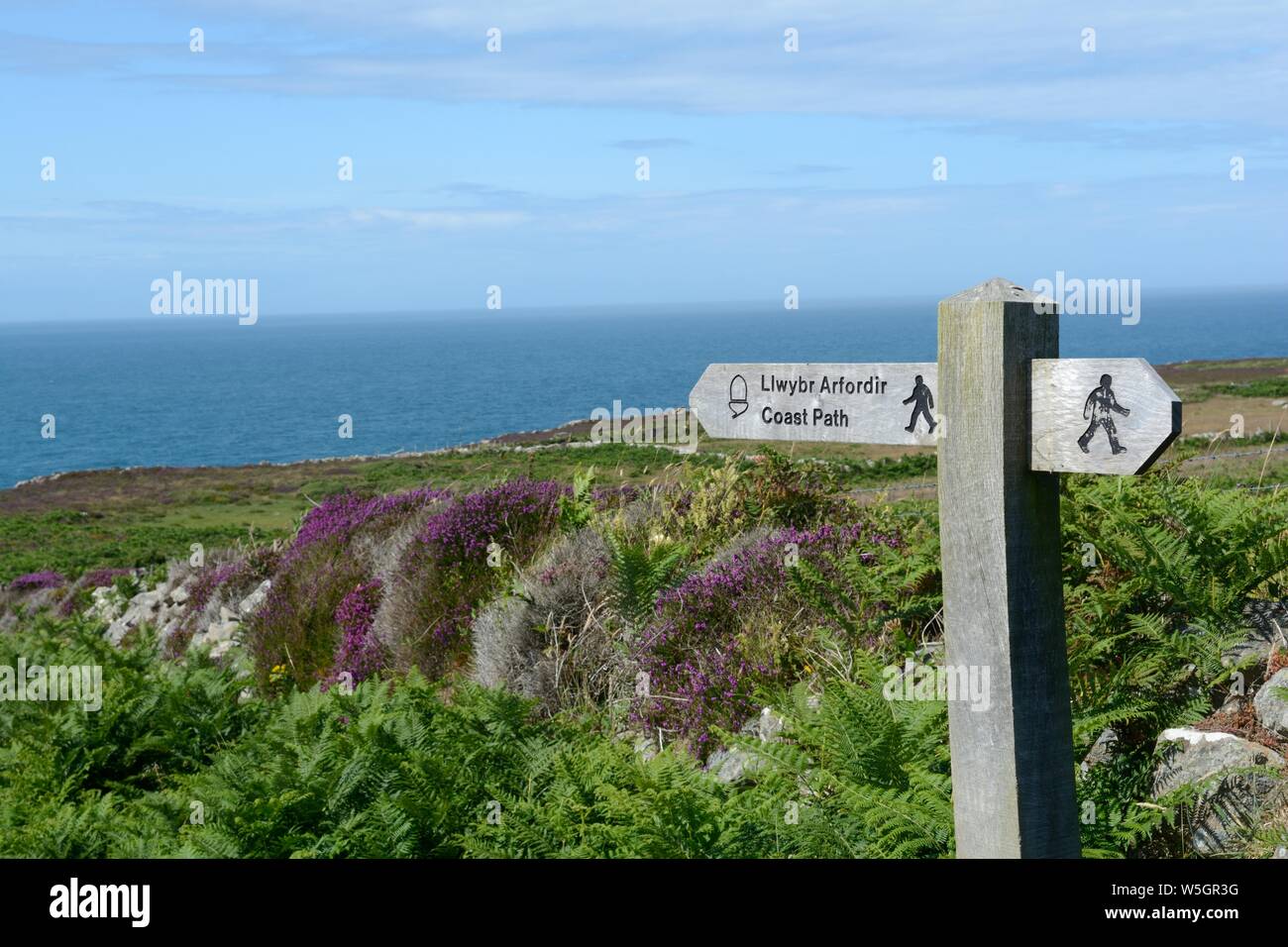 Bilingue en anglais gallois sentier signe sur St Davids (Pembrokeshire Coast National Park de la tête du pays de Galles Cymru UK Banque D'Images