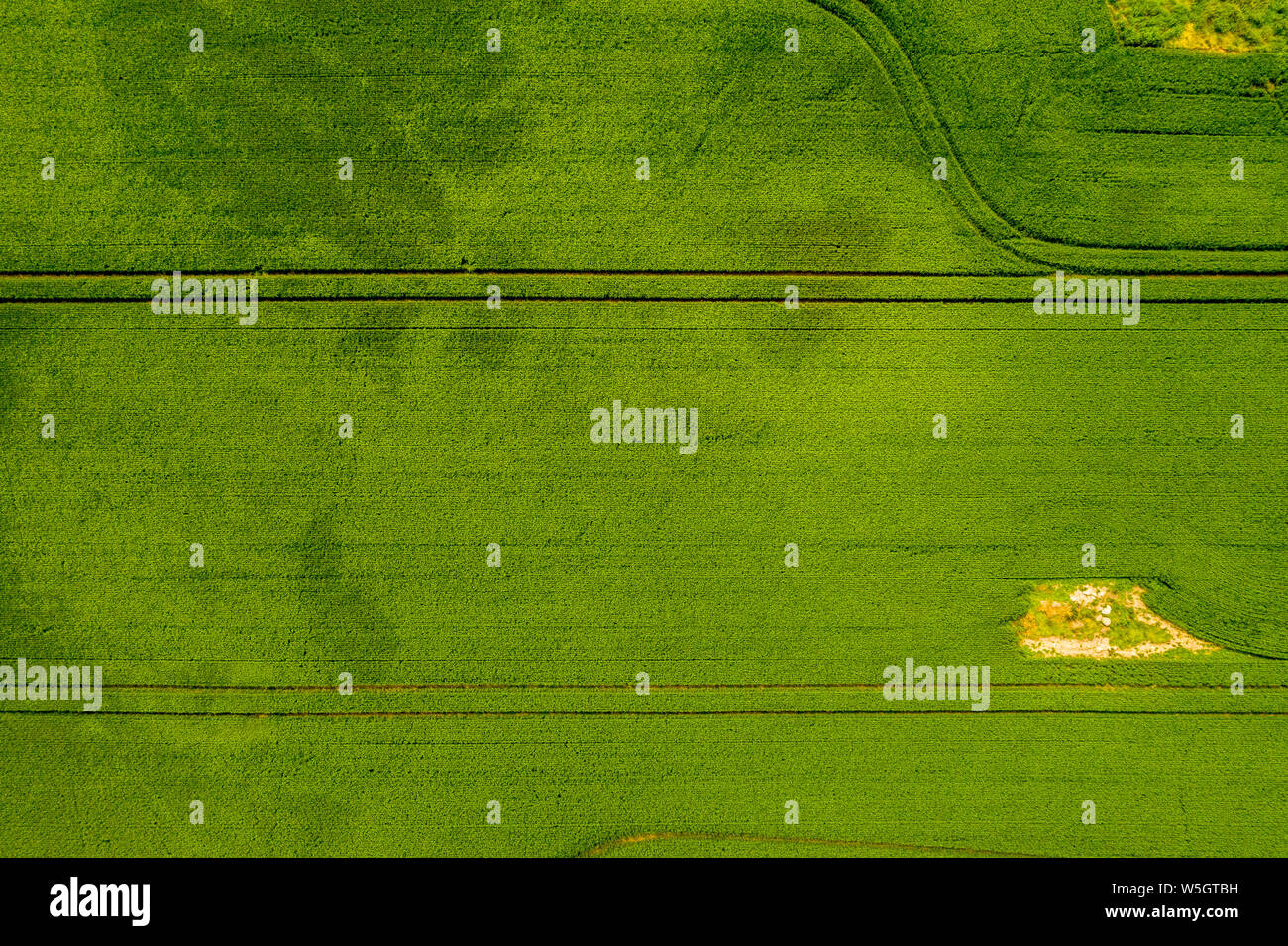 Vue aérienne d'un champ vert Banque D'Images