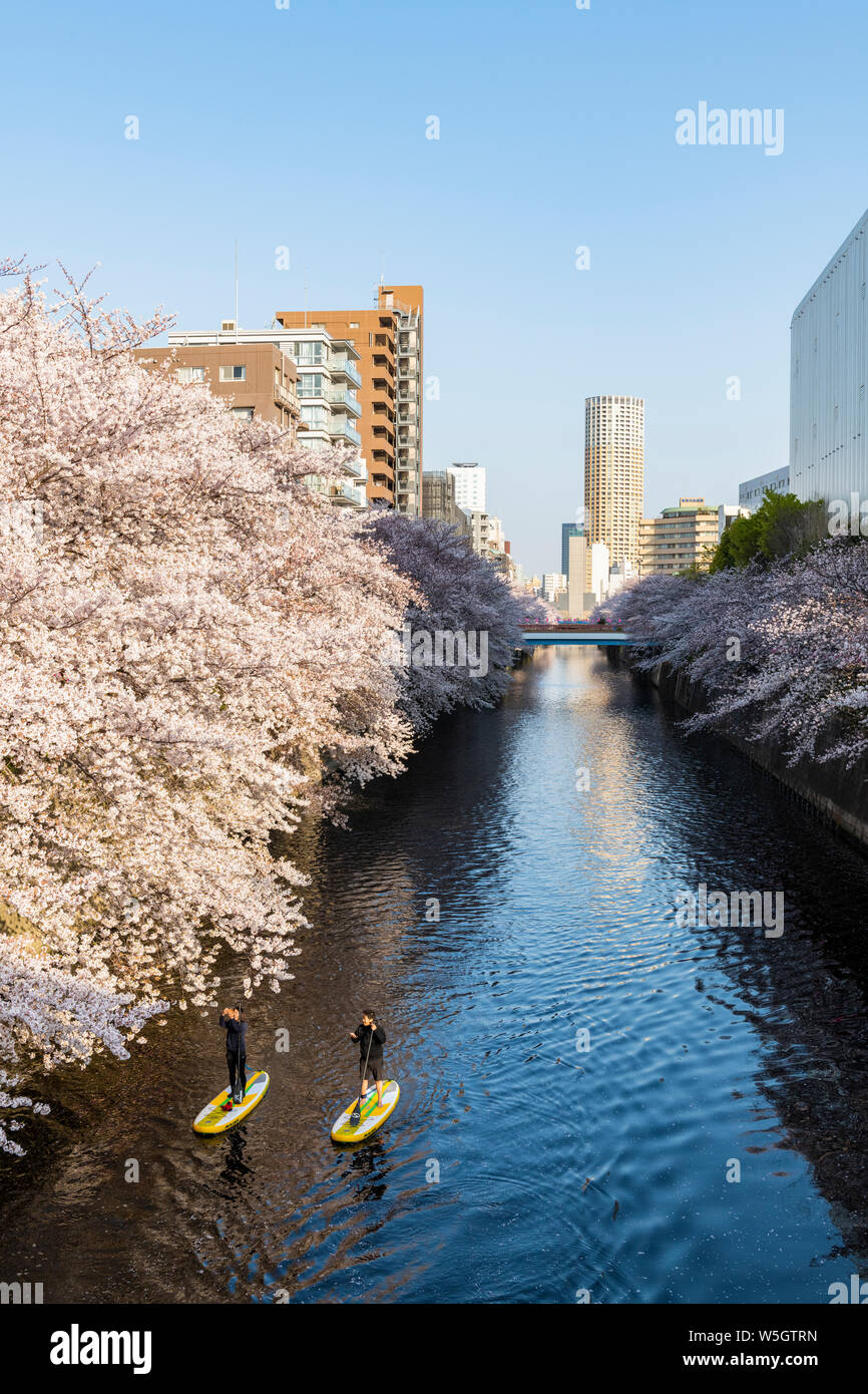 Tôt le matin sur la rivière Meguro, Tokyo, Japon, Asie Banque D'Images