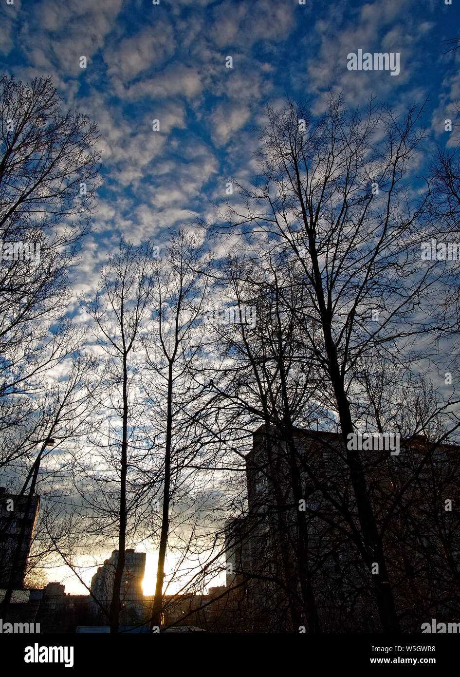 Les nuages bas le matin au printemps, Moscou Banque D'Images