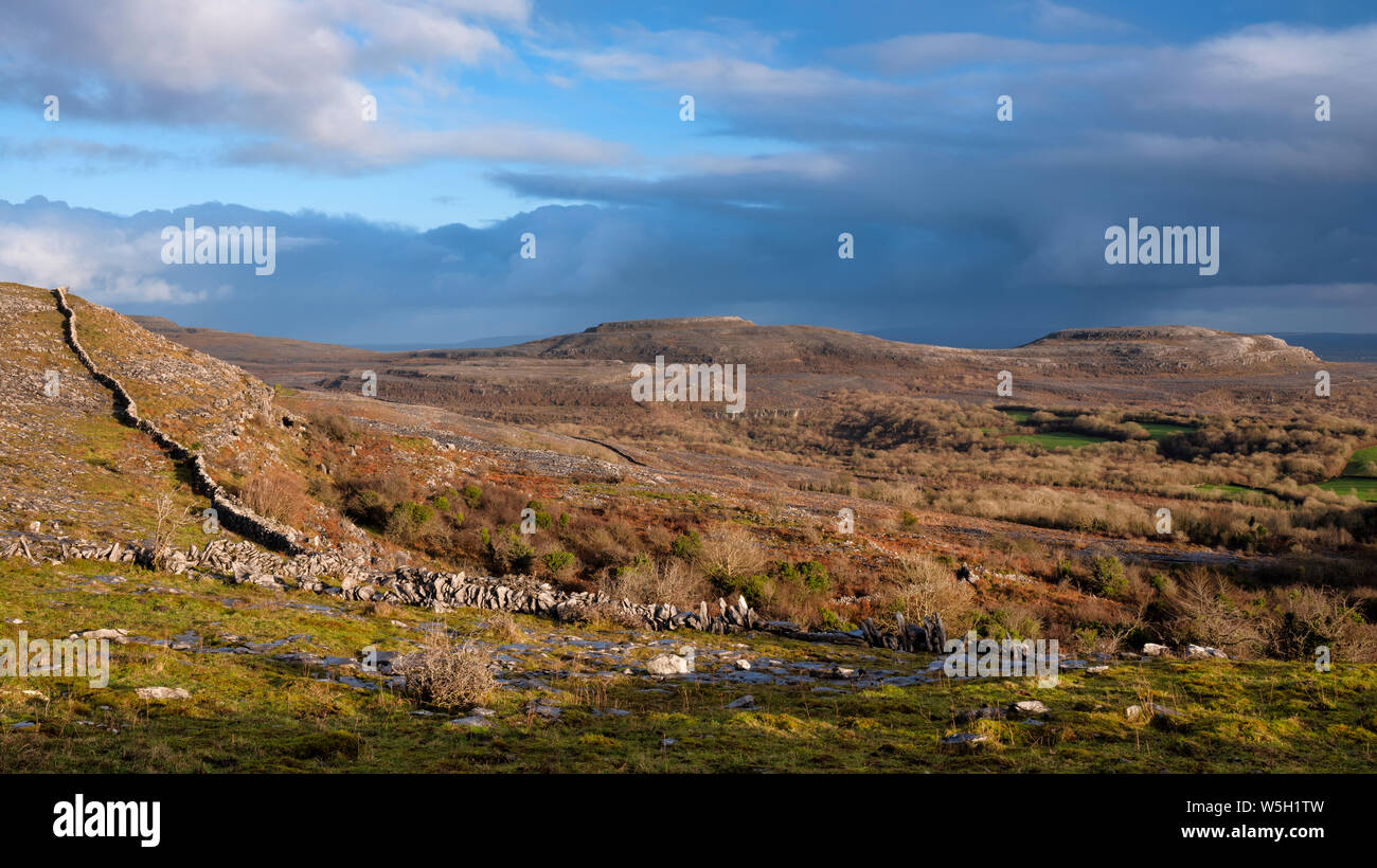 Fahee au nord, le Burren, comté de Clare, Munster, République d'Irlande, Europe Banque D'Images